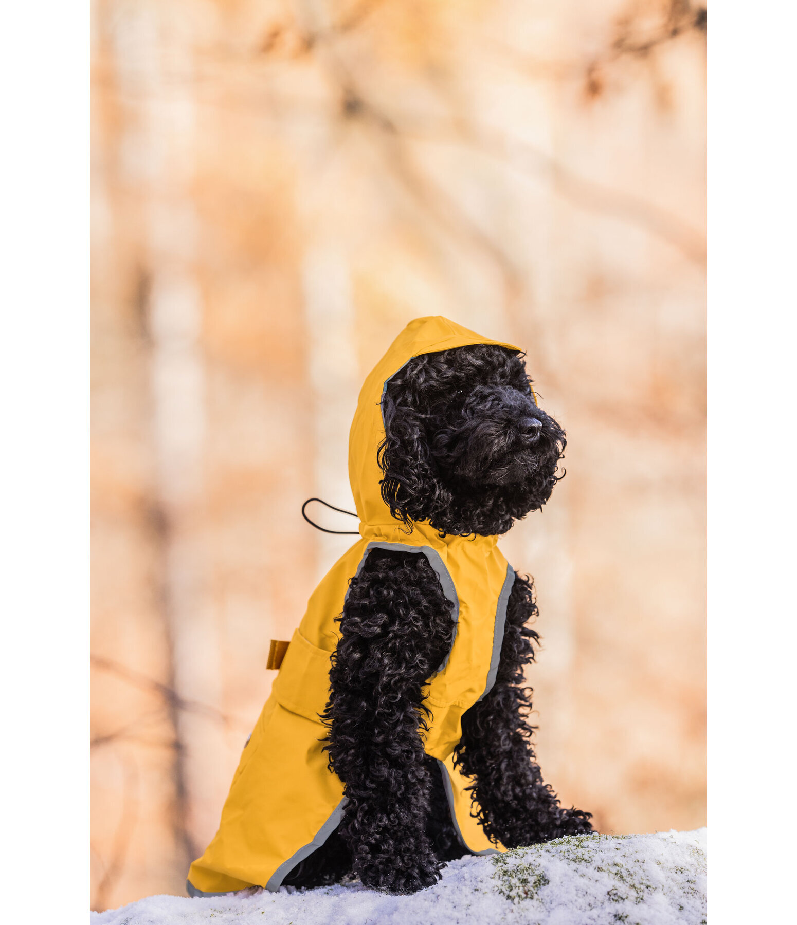 Rain Dog Coat Waterton Lakes, 0g