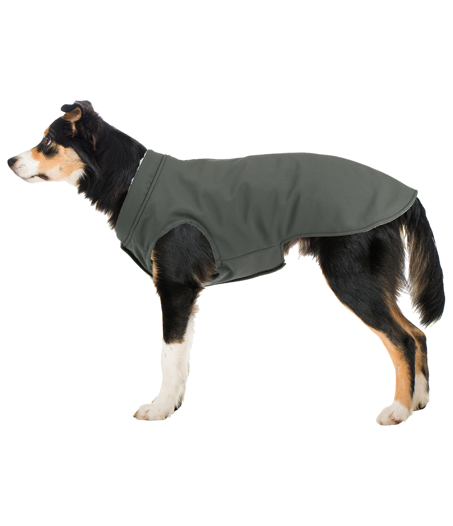 Soft shell on sale dog coat