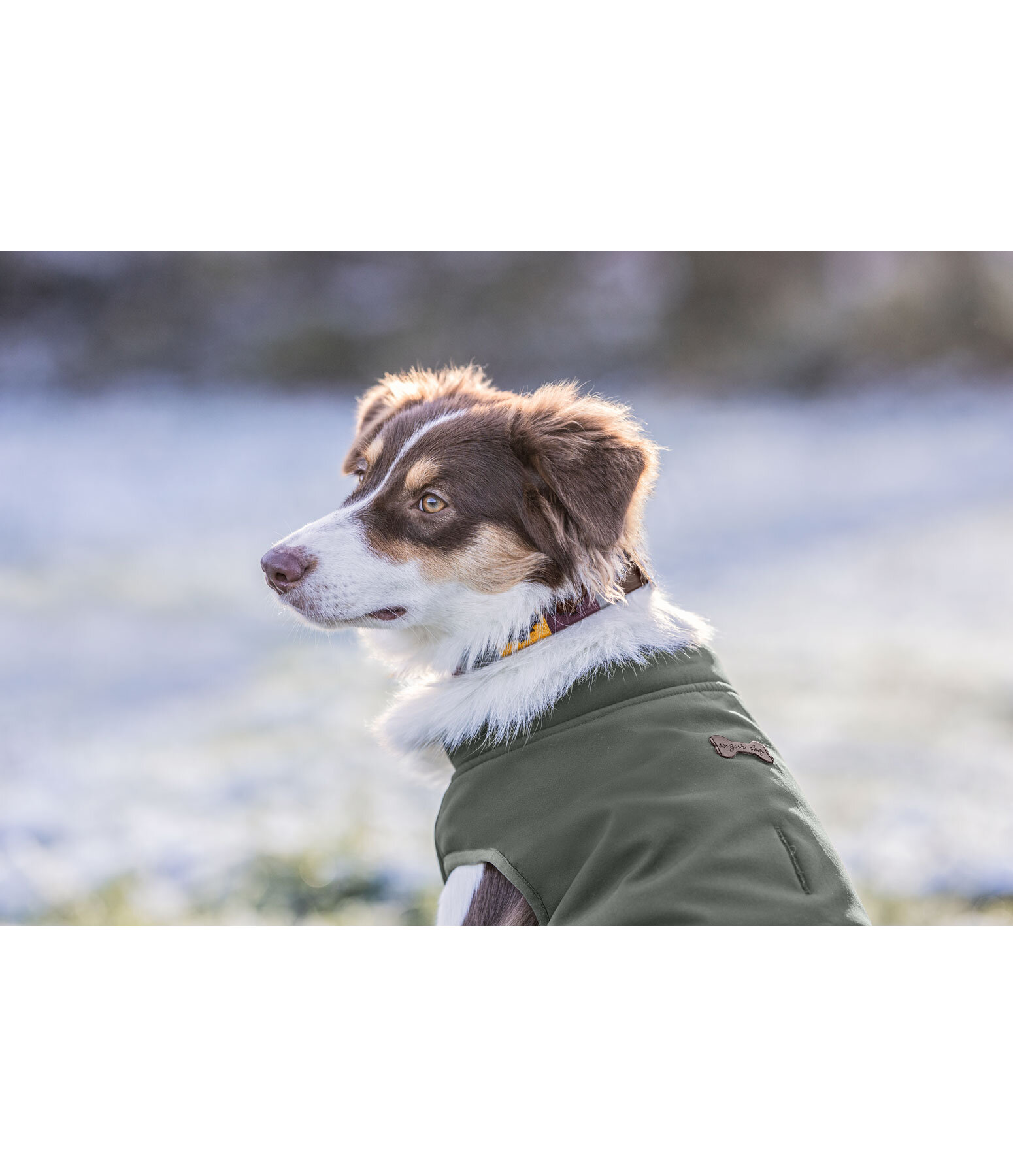 Reversible Soft Shell Dog Waistcoat Yoko, 80g