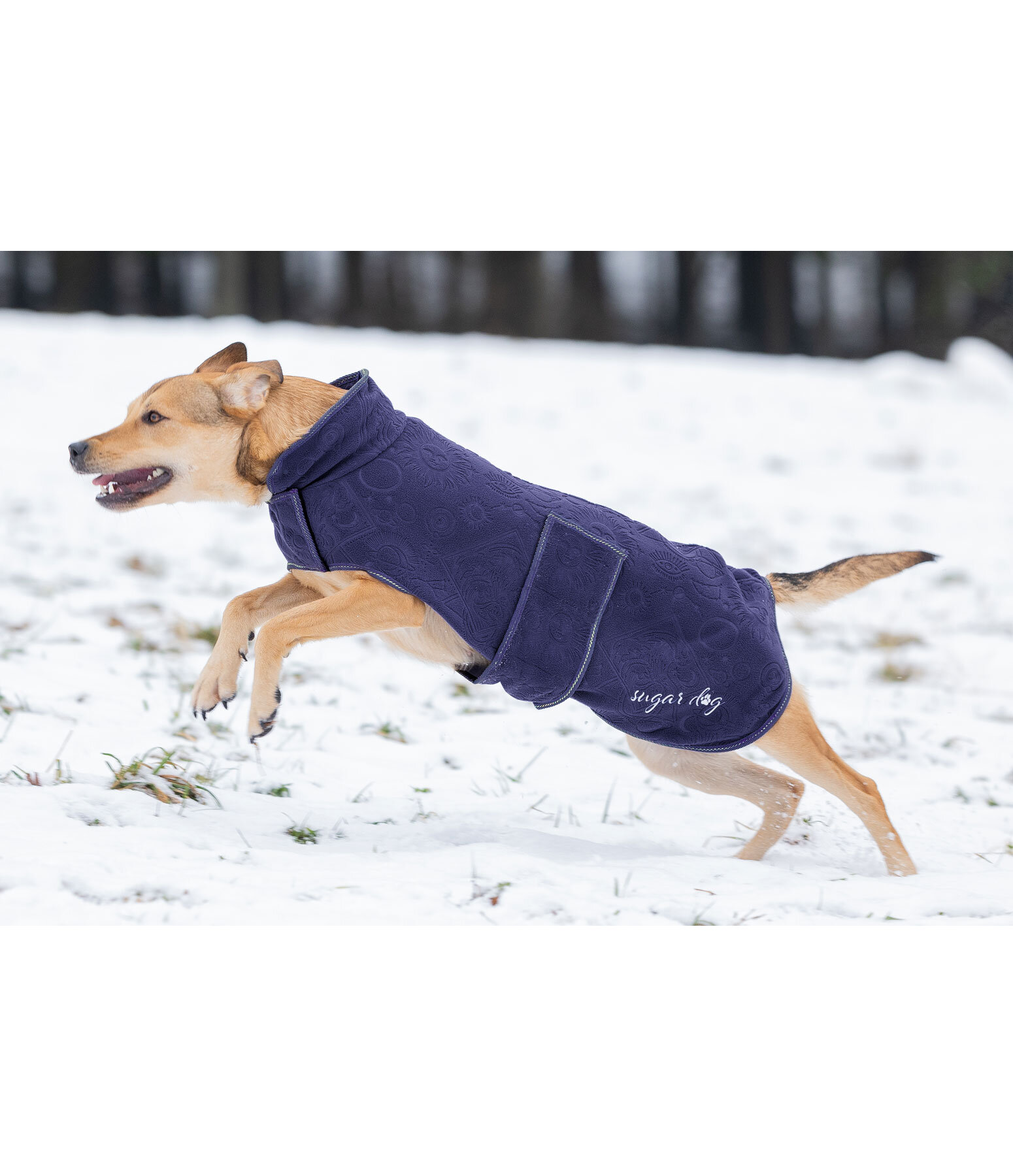 Fleece Dog Coat Moon Dog Accessories Kramer Equestrian