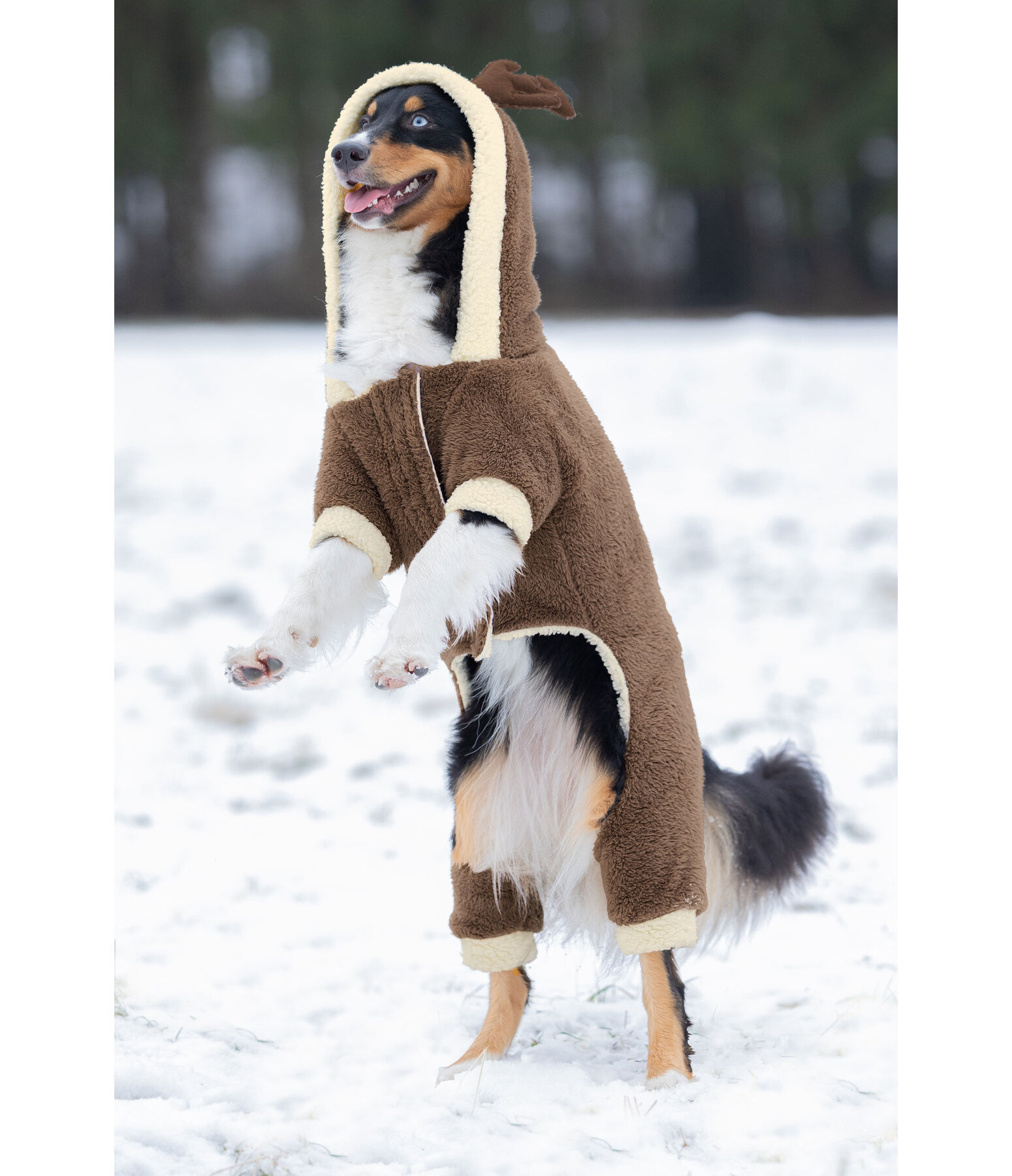 Cuddly Dog Onesie Rudolph