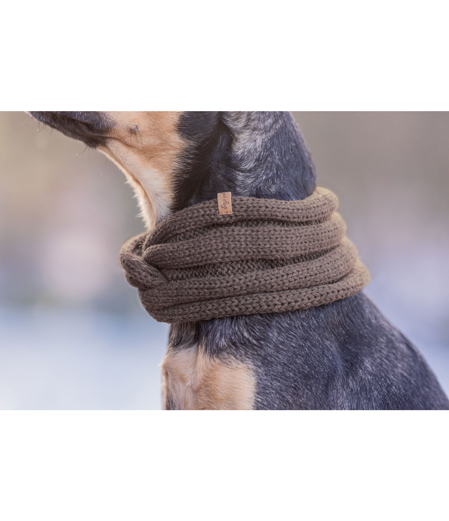 Knitted Dog Scarf Espi