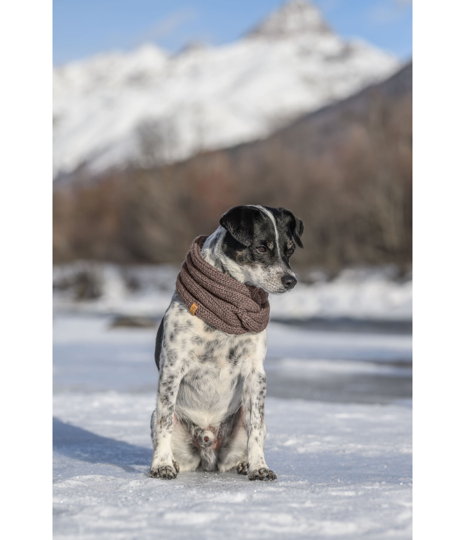 Knitted Dog Scarf Espi