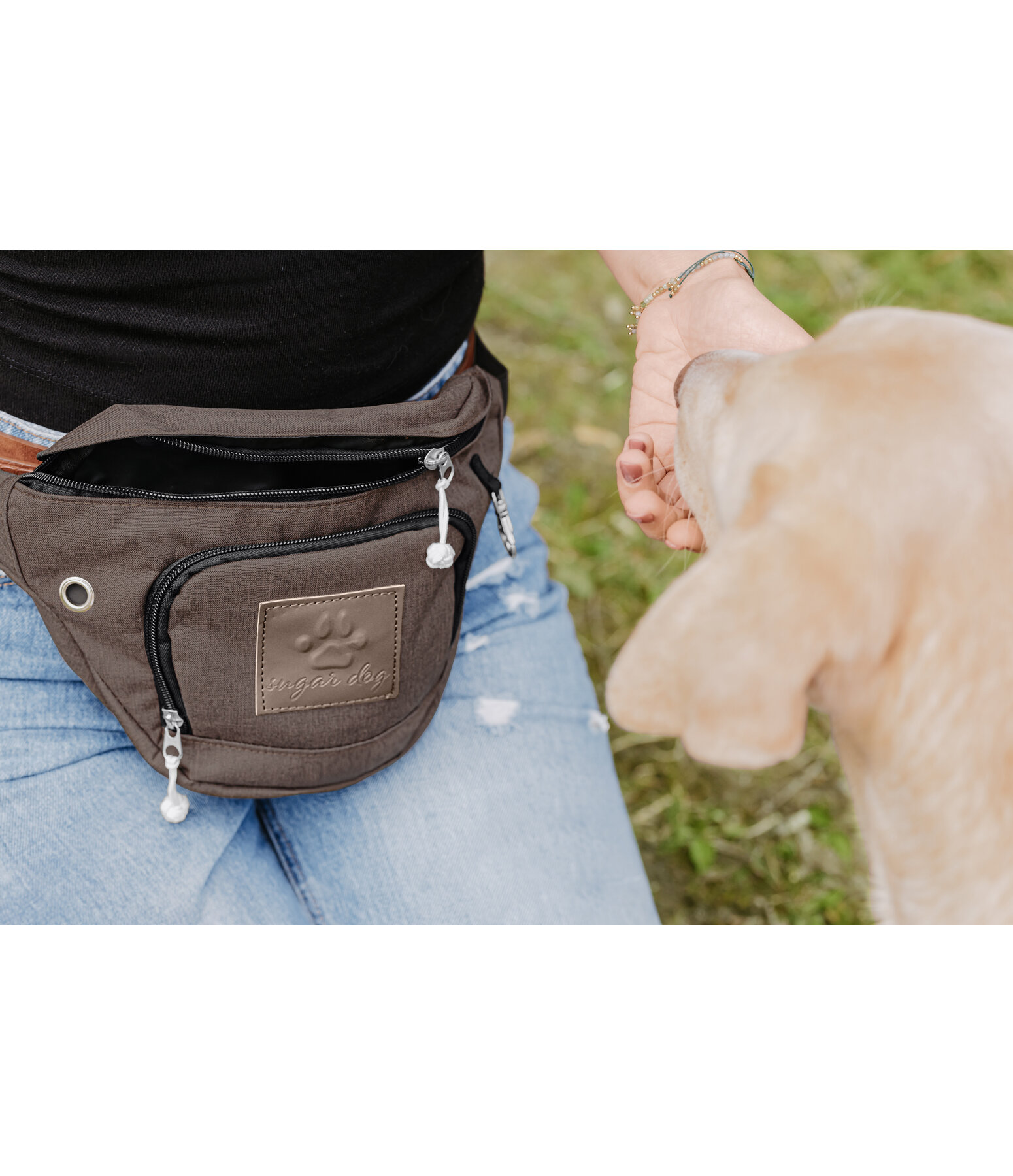 Dog training sale bum bag