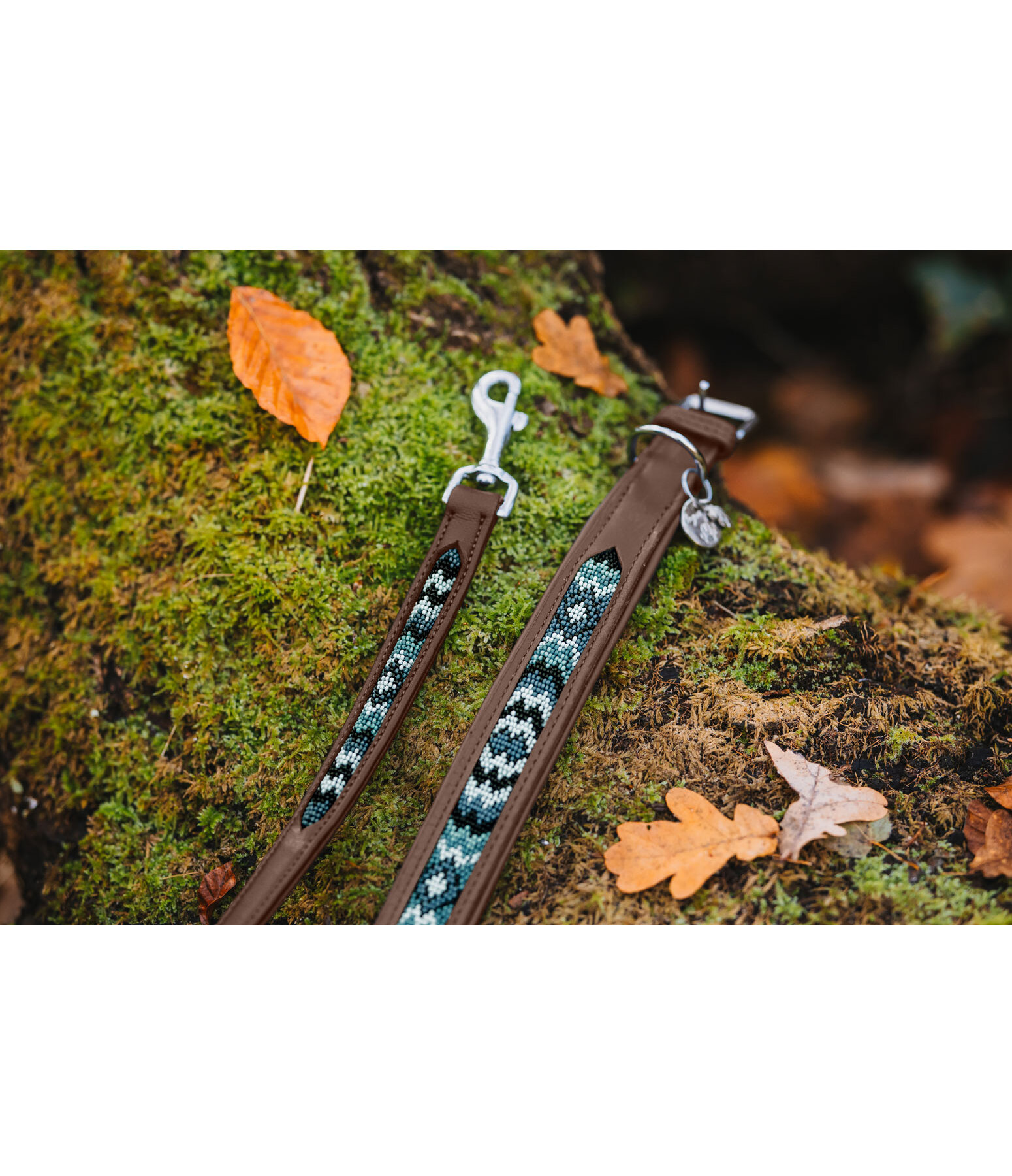 Leather Dog Collar Nashville