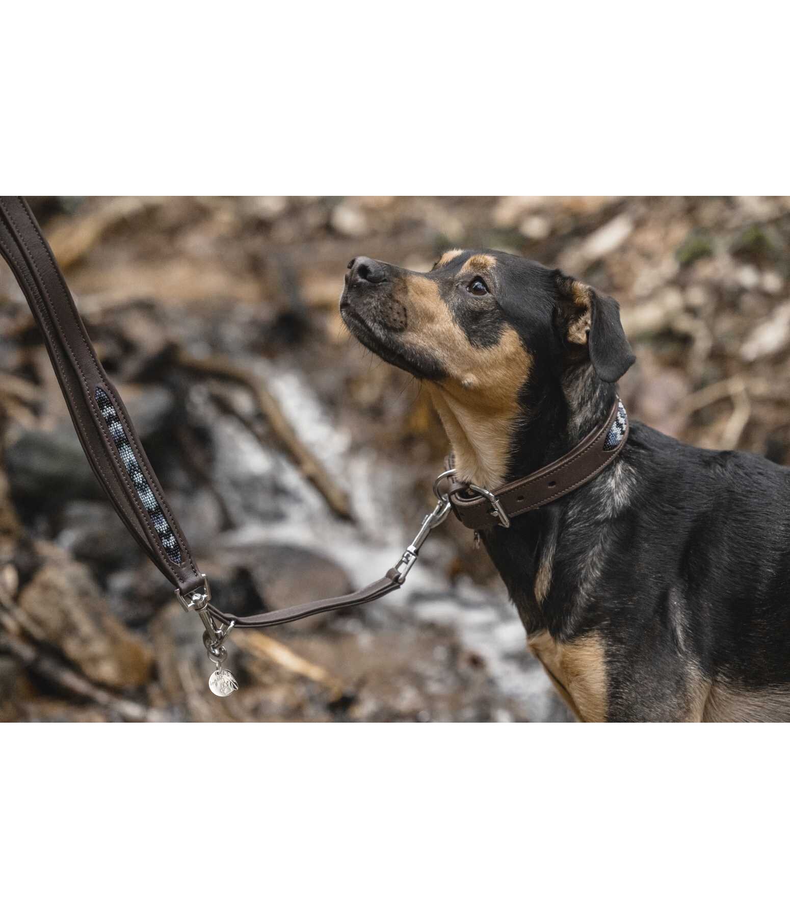 Beaded Leather Dog Lead Austin