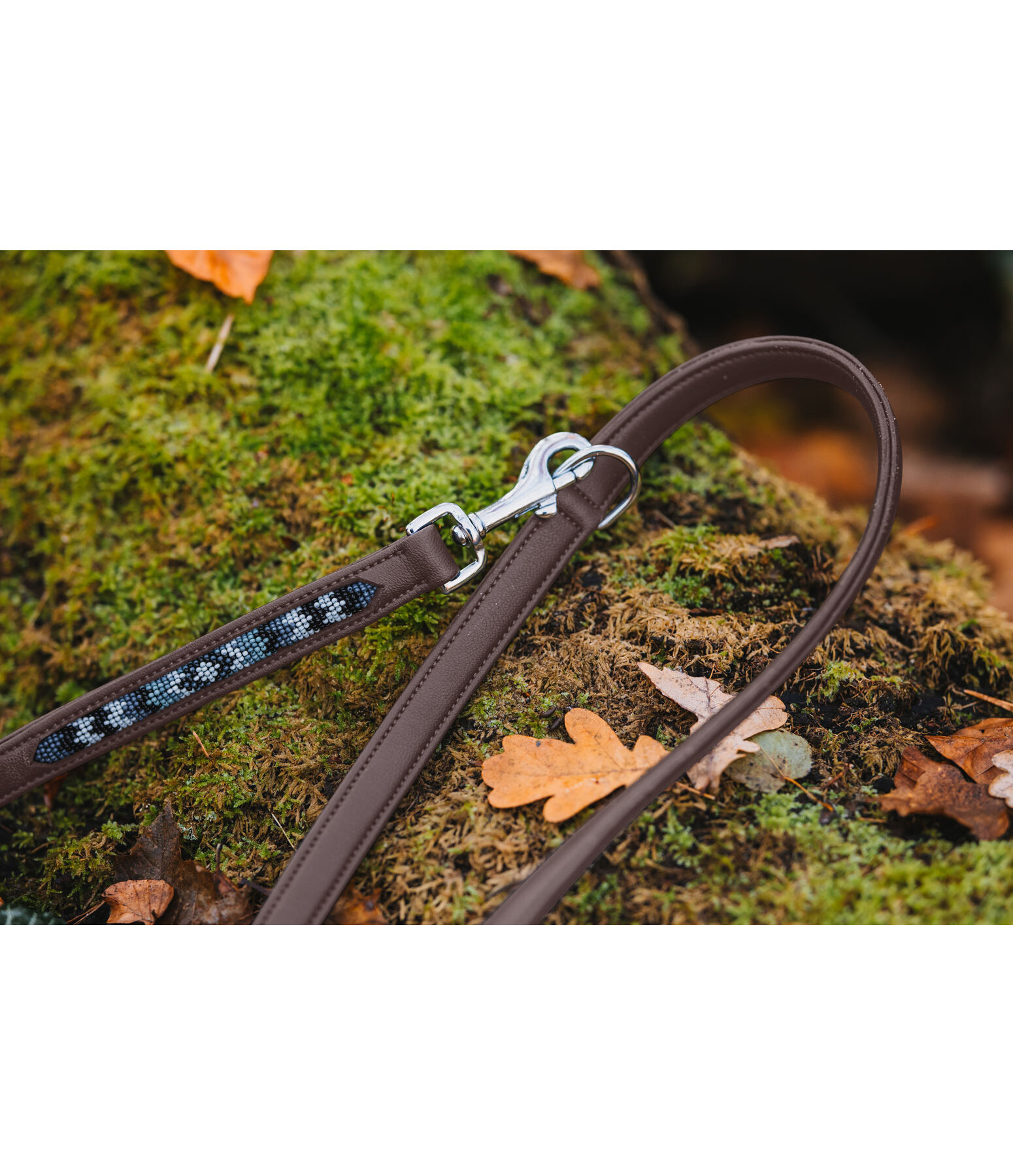 Beaded Leather Dog Lead Austin