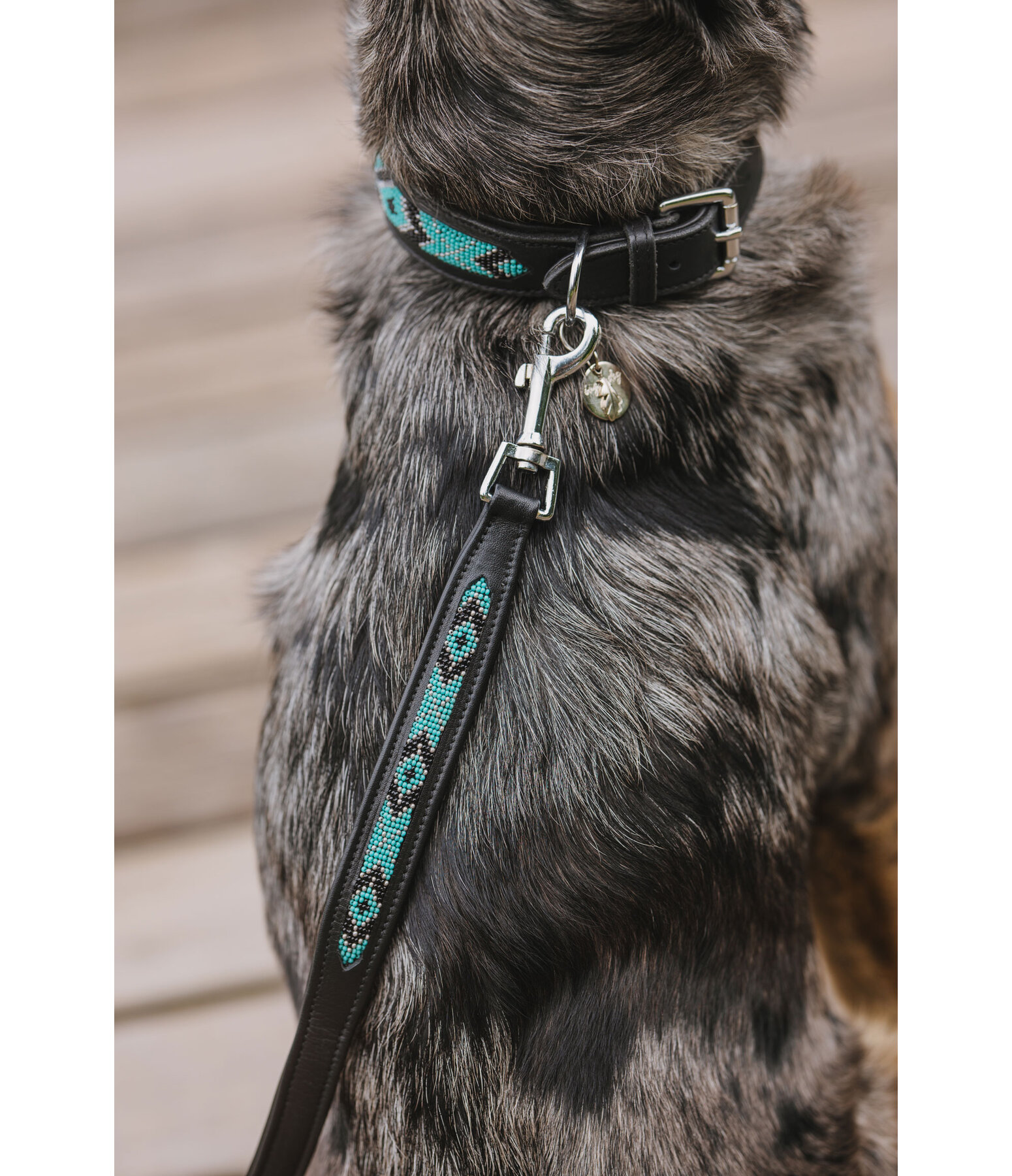 Beaded Leather Dog Lead Austin
