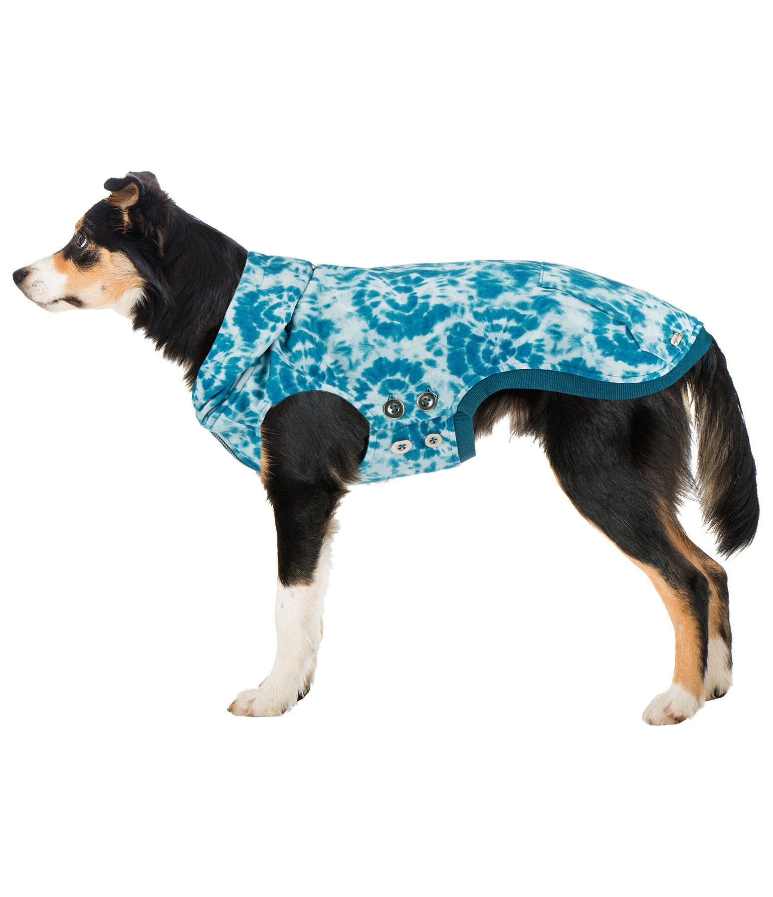 Tie-dye Dog Hoodie Daphne