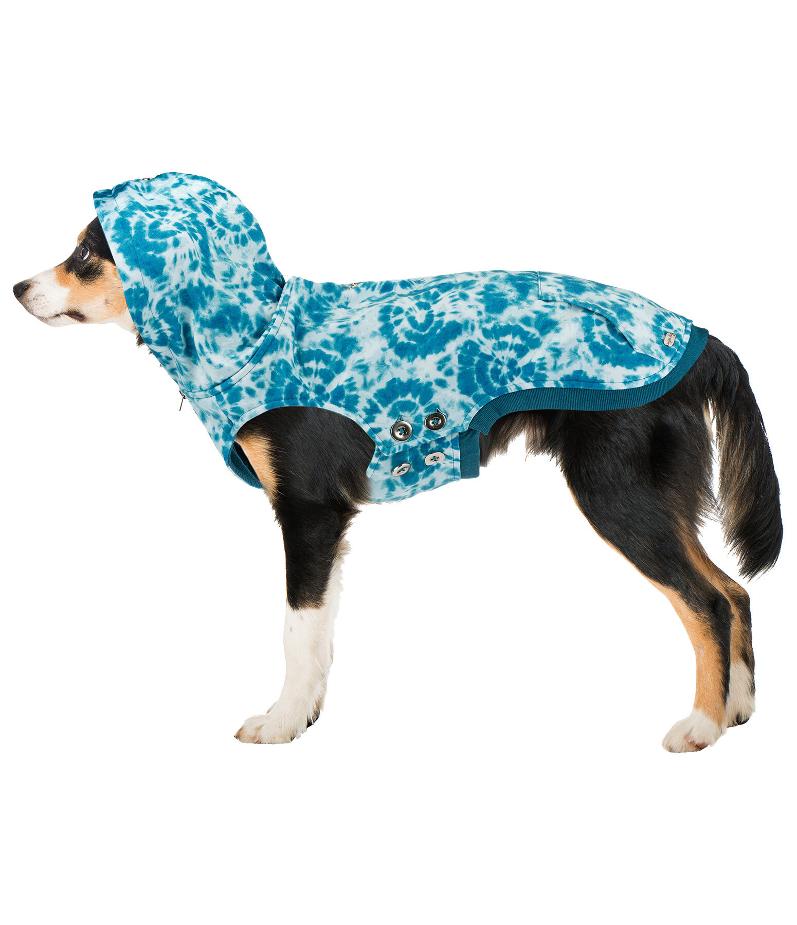 Tie-dye Dog Hoodie Daphne