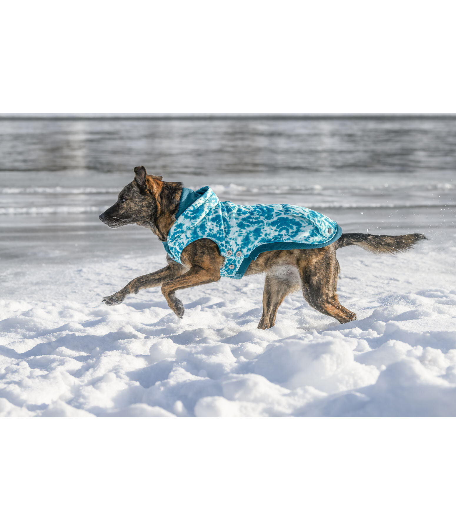 Tie-dye Dog Hoodie Daphne