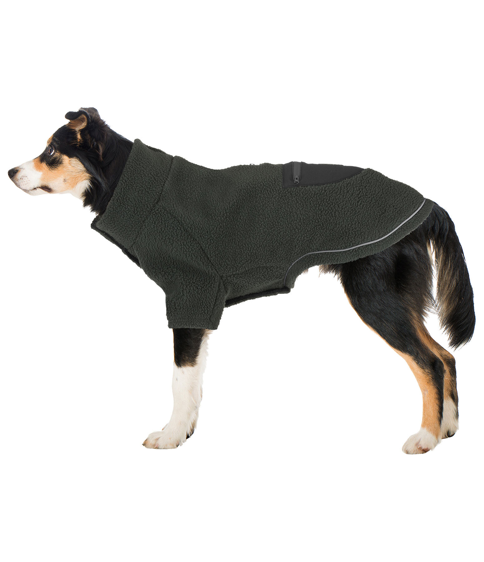 Sherpa Dog Jumper Eden