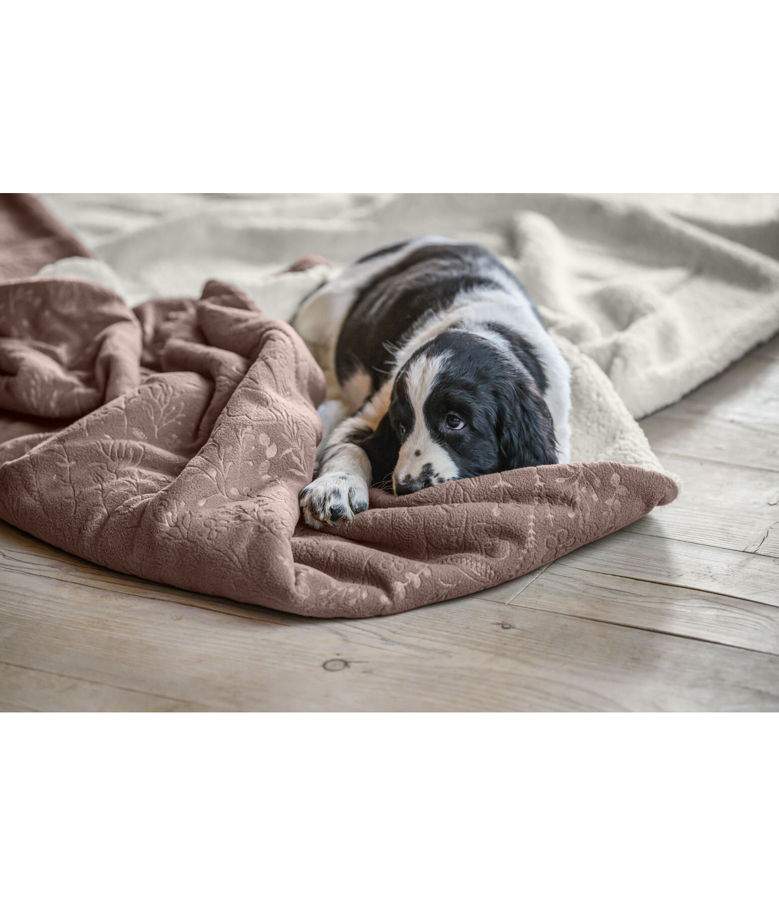 Reversible Blanket Wildflower for Dogs