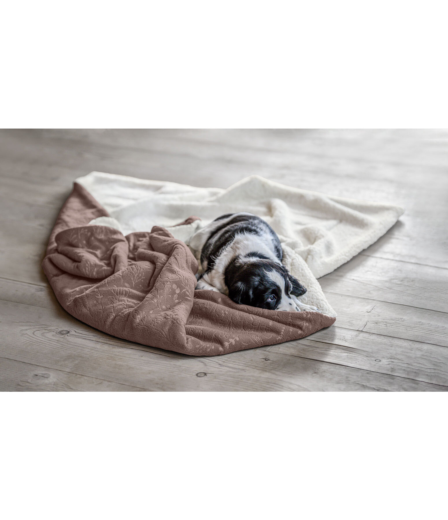 Reversible Blanket Wildflower for Dogs