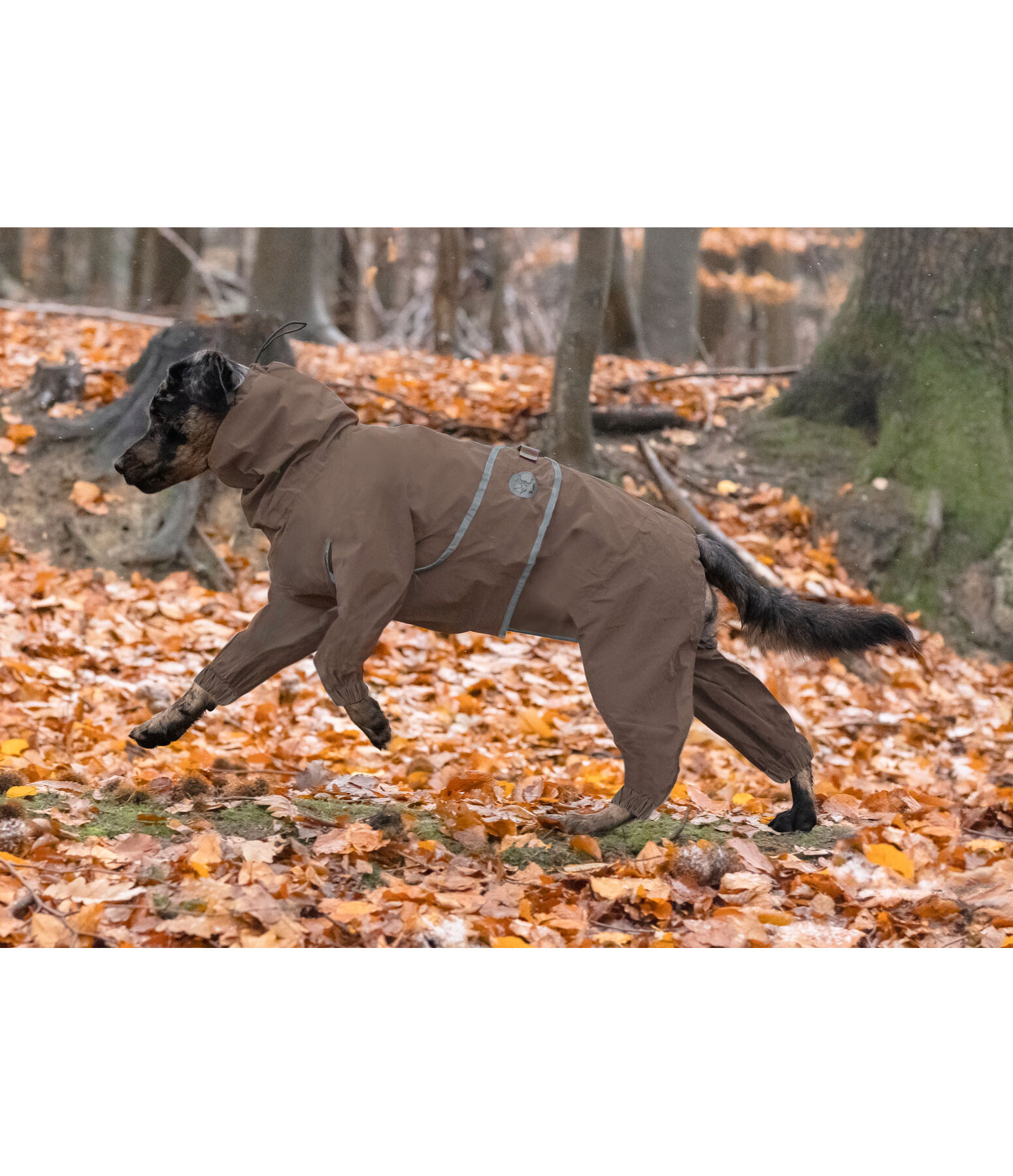 Allover Dog Rain Jacket Sequoia II, 0g