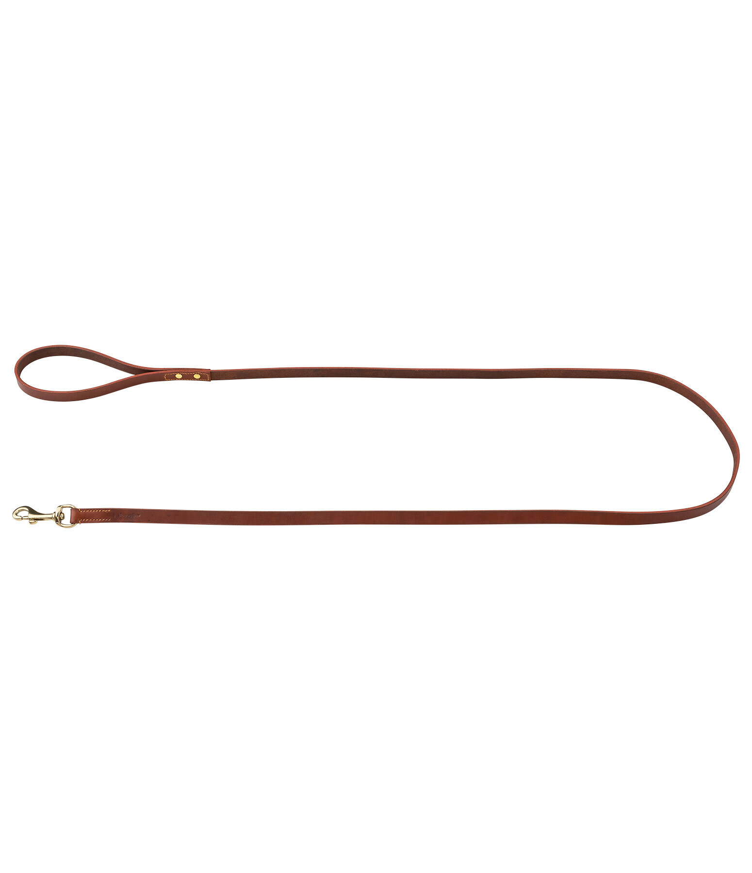 Leather Dog Lead San Gimignano