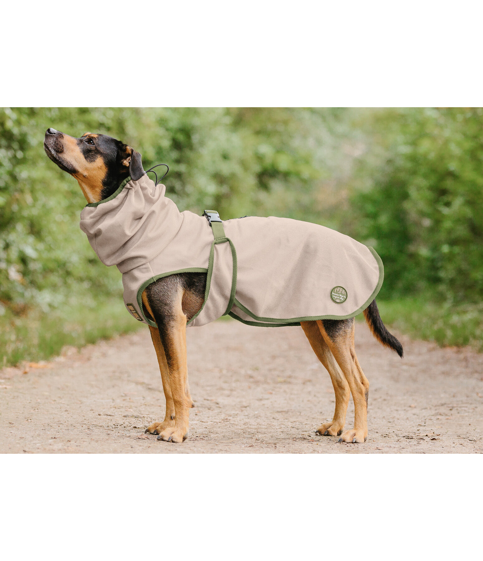 Fly Protection Coat Taiga for Dogs