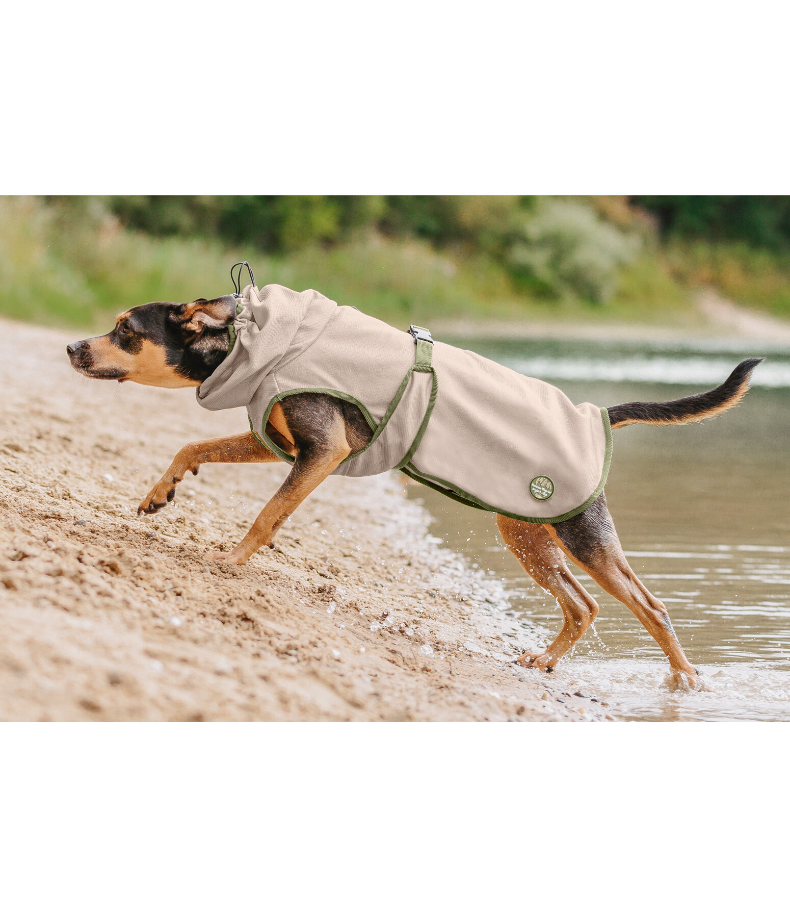 Fly Protection Coat Taiga for Dogs
