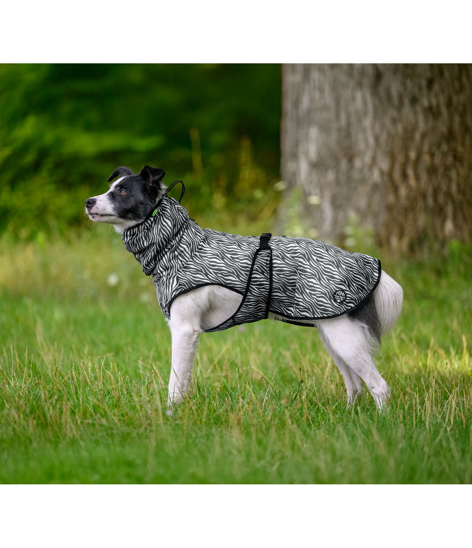 Fly Protection Dog Coat Taiga