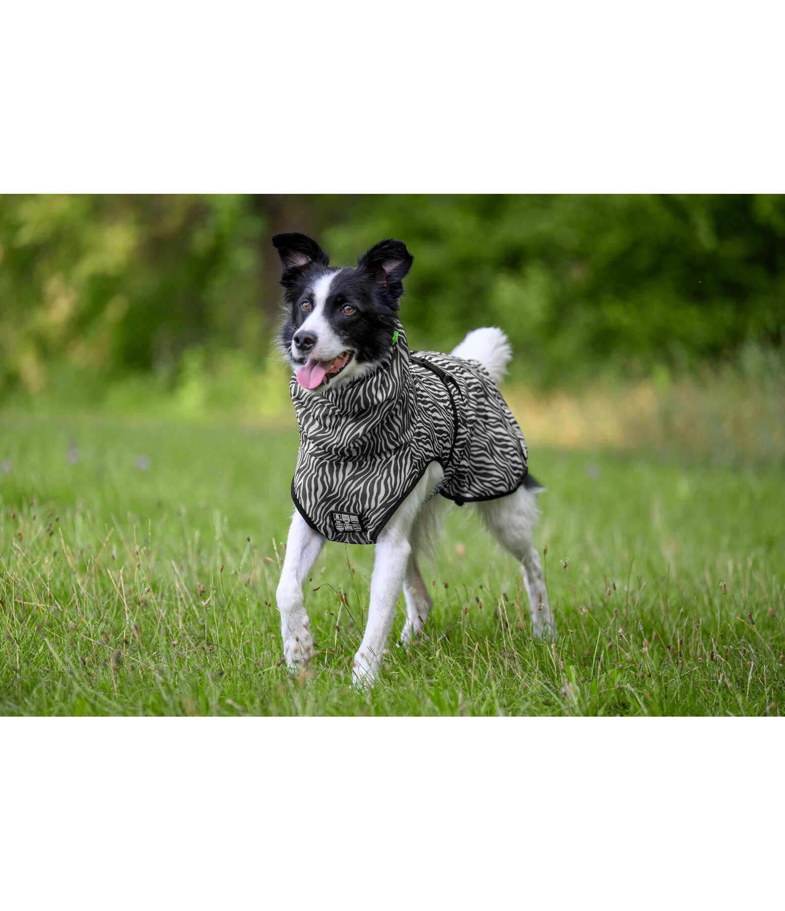 Fly Protection Dog Coat Taiga