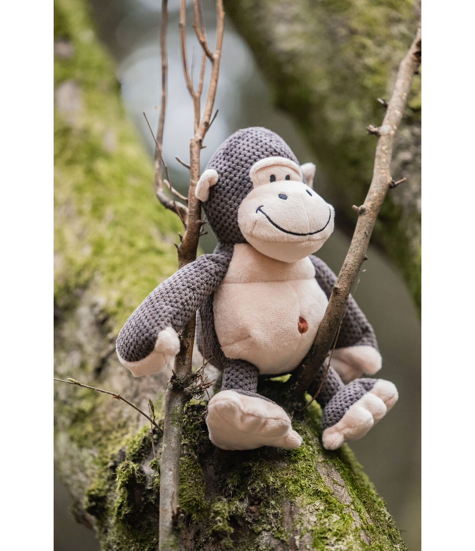 Dog Toy Cuddly Monkey Alfie