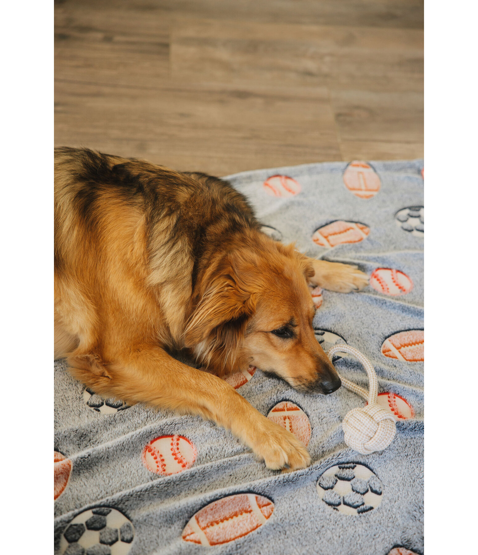 Rope Toy Jack for Dogs