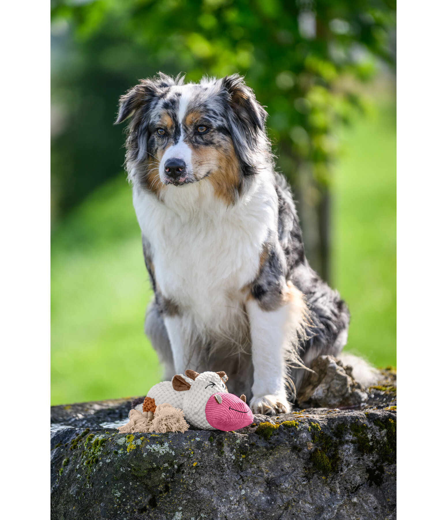 Dog Toy Cuddly Cow Zenzi