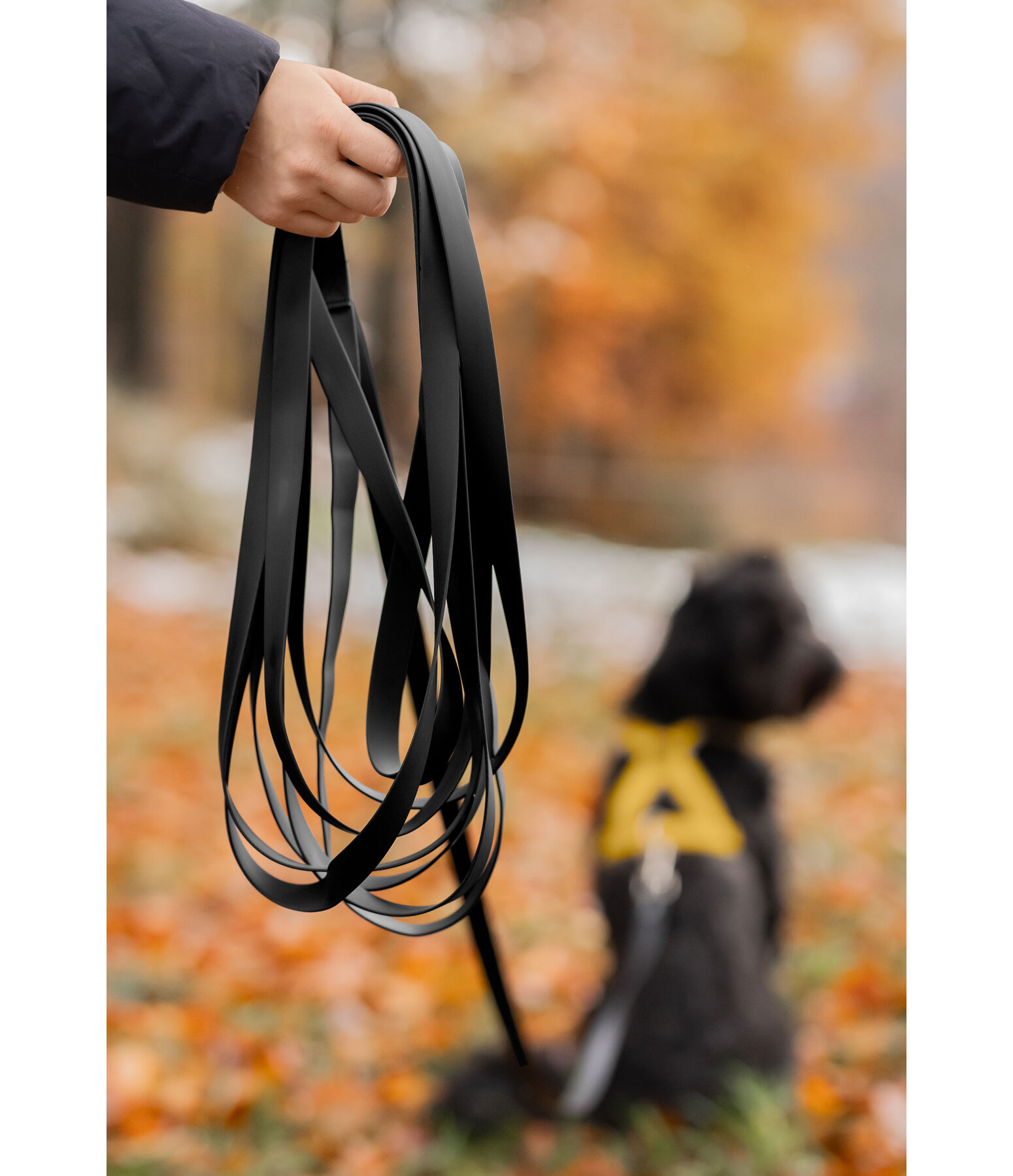 Waterproof Riding Companion Dog Lead Ginny