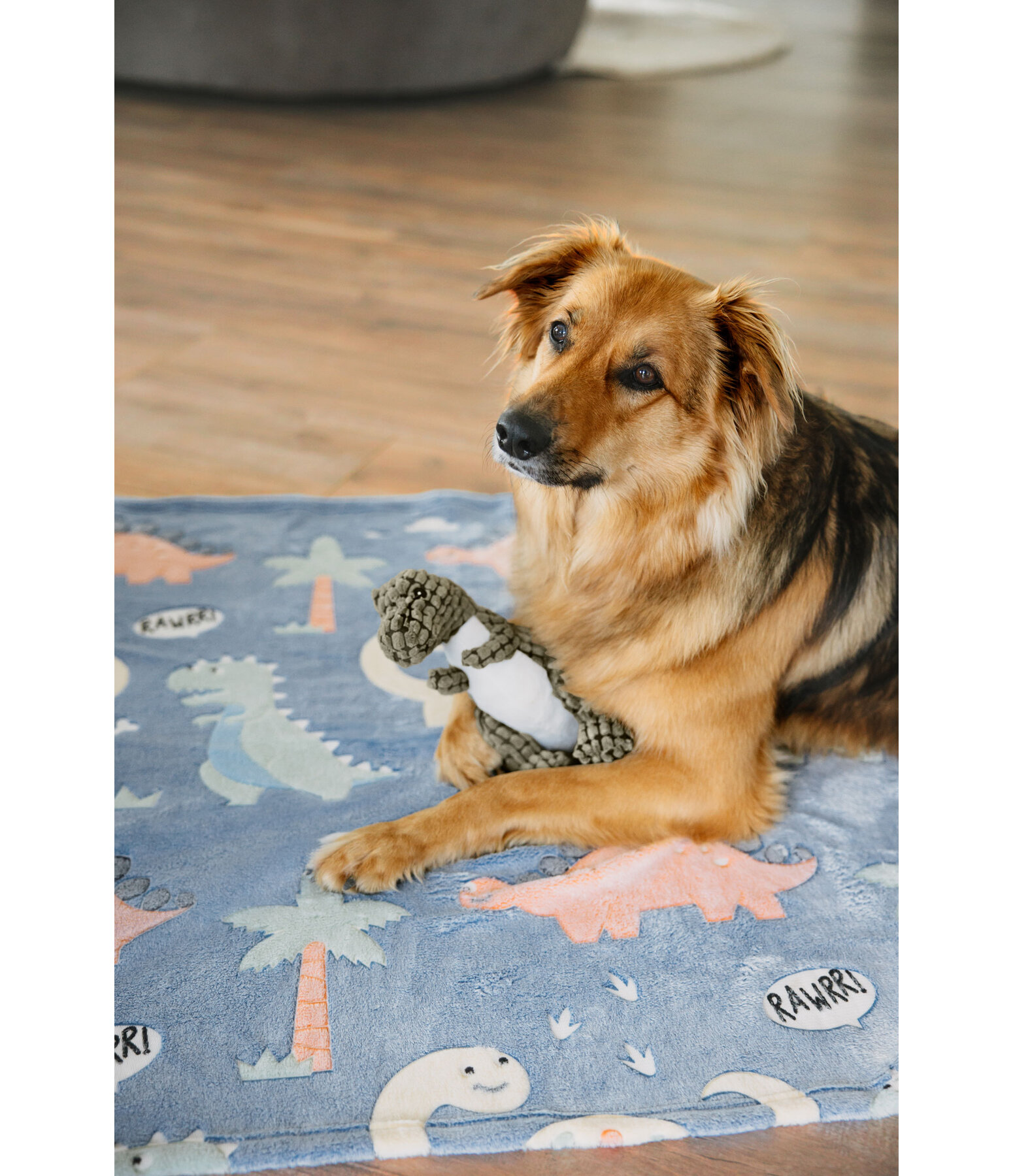 Dog Blanket Glow in the Dark