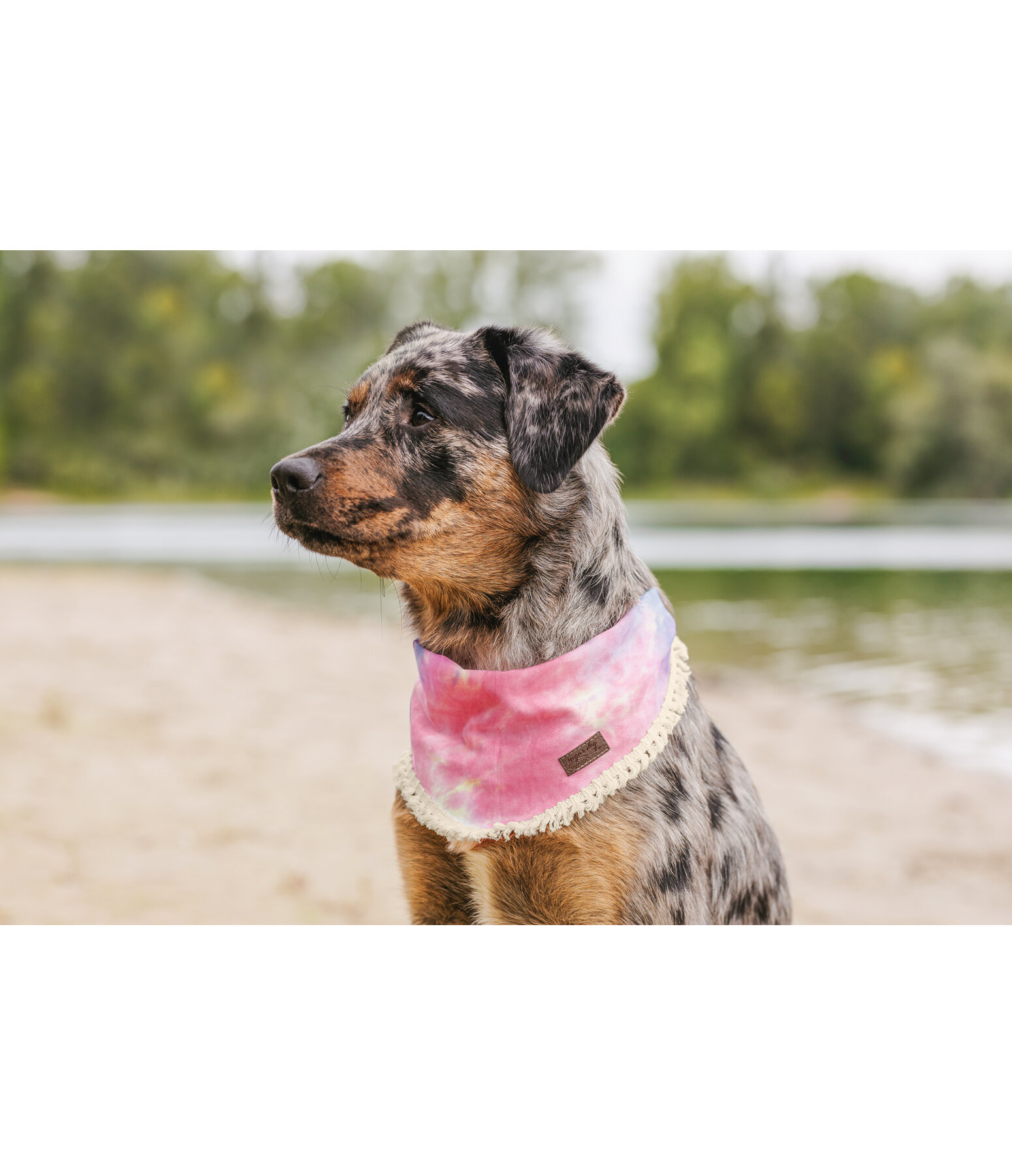 Tie-dye Dog Bandana Dakota