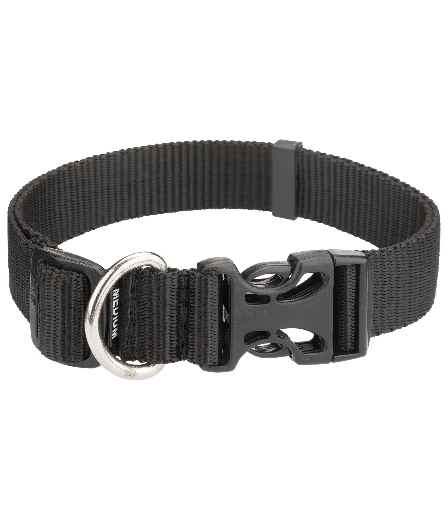 Dog Collar Champ
