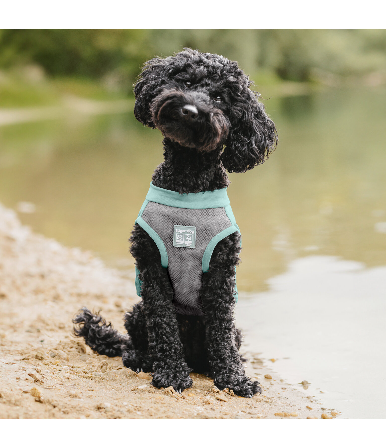 Dog cool vest uk 2025