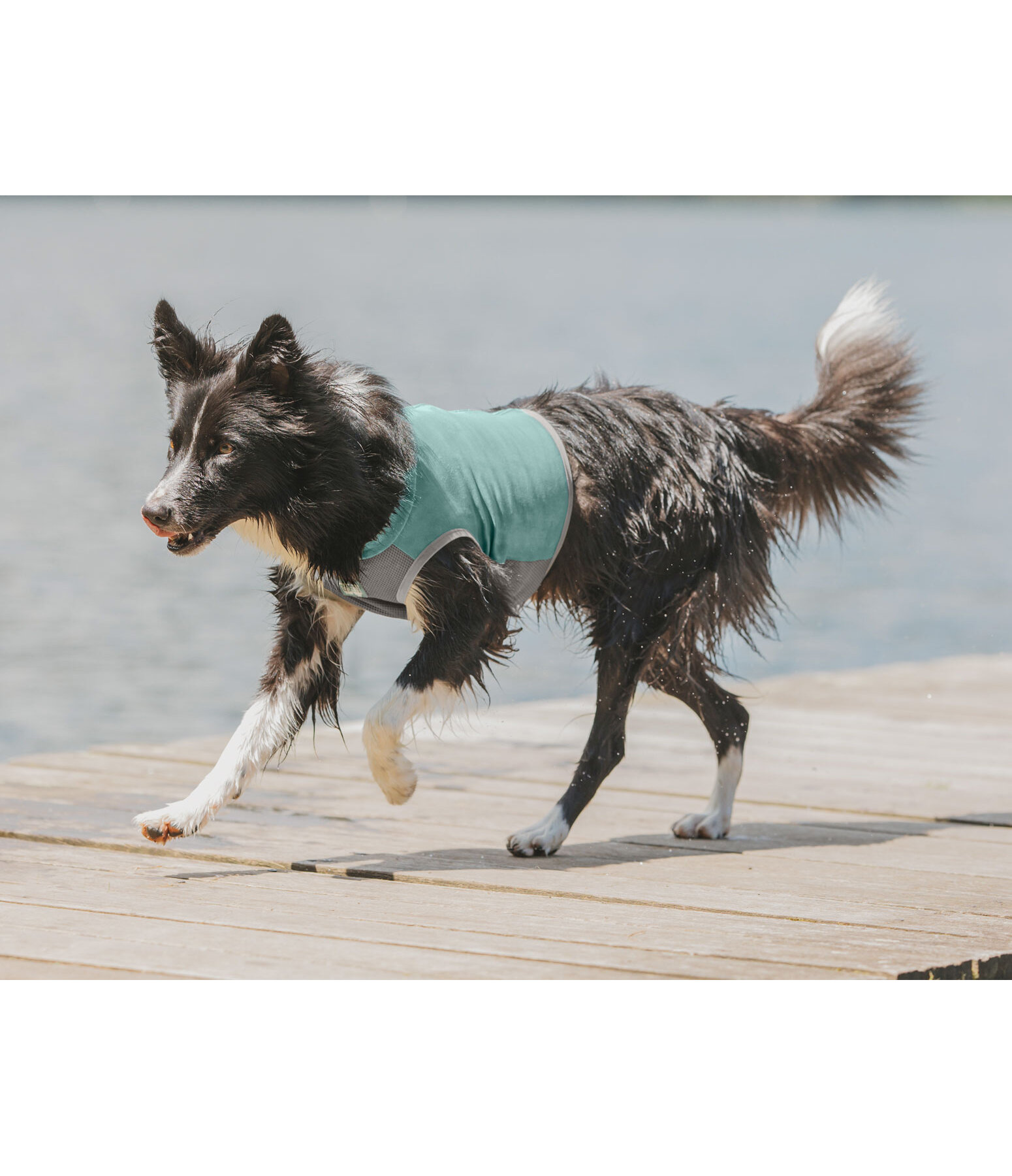 Cooling Vest Refresh for Dogs