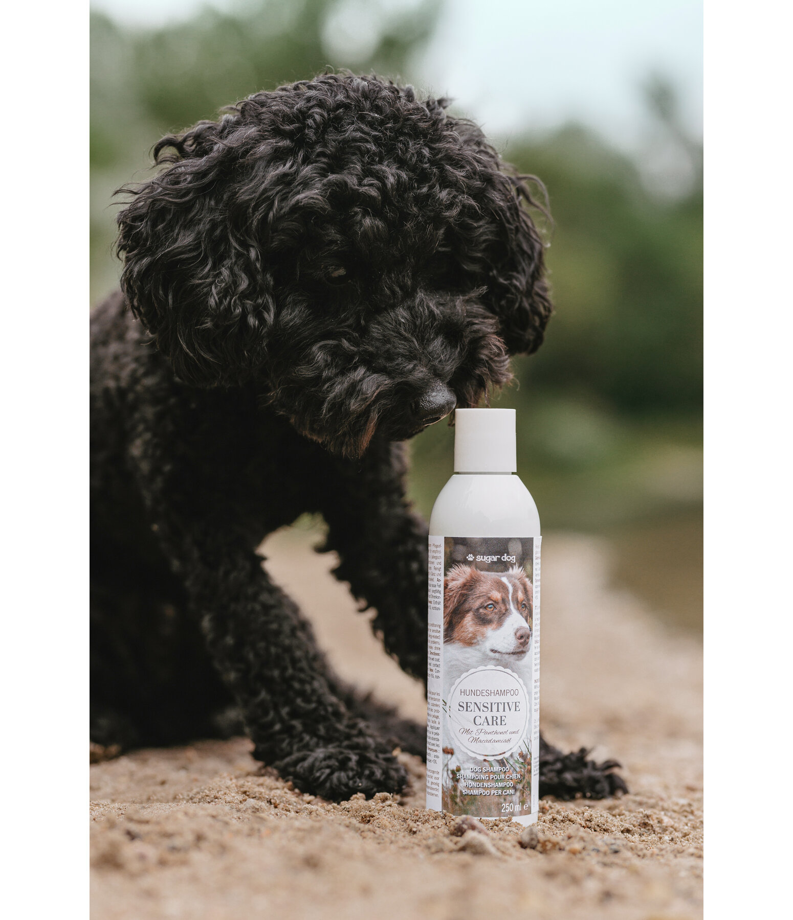 Dog Shampoo Sensitive Care