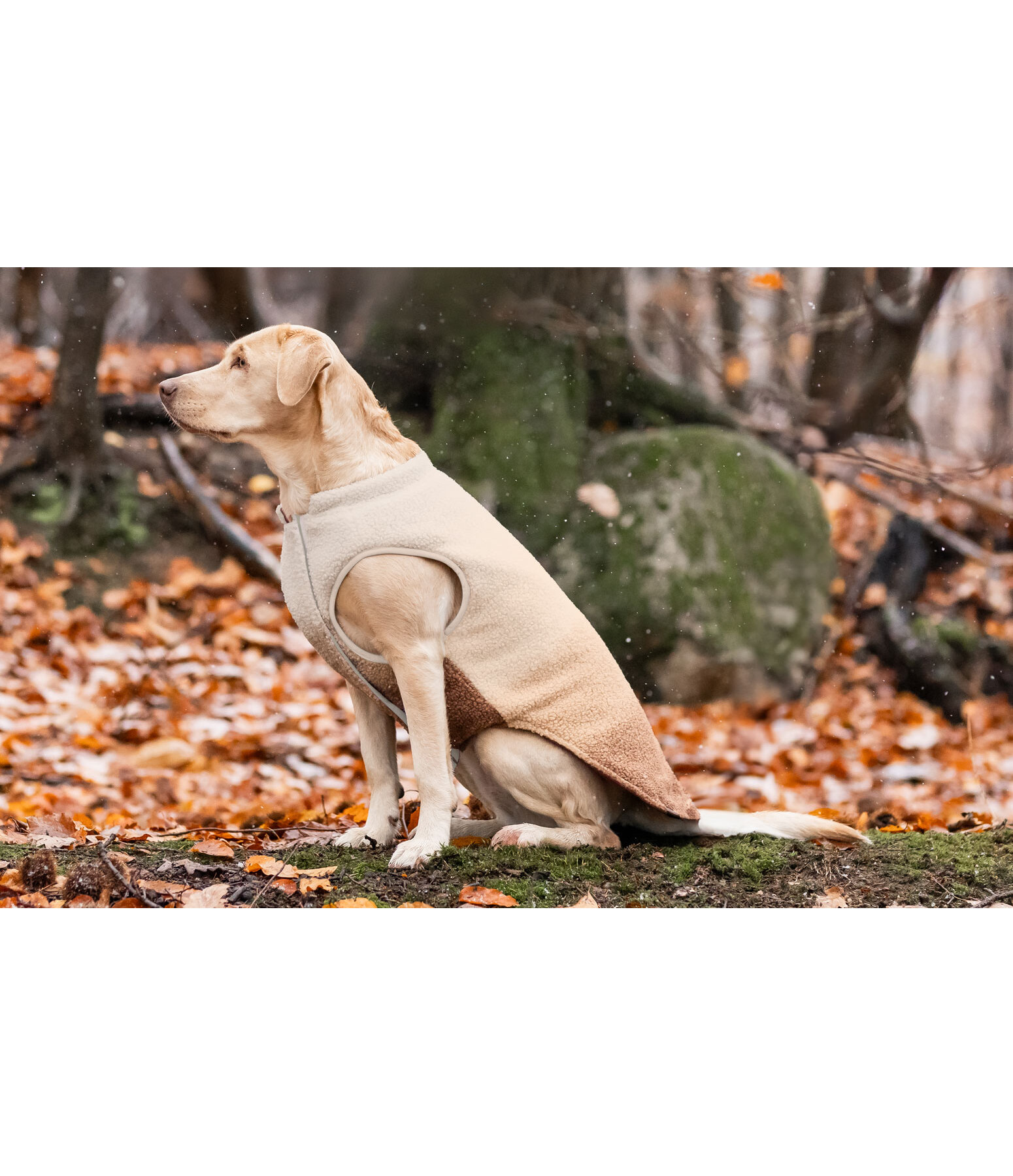 Soft Shell Reversible Dog Gilet Willa, 80g