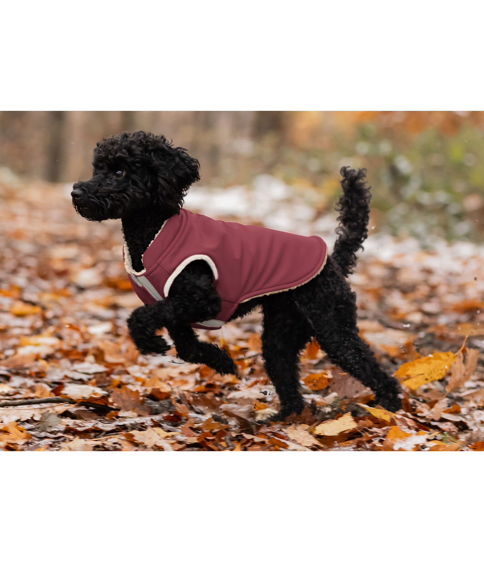 Soft Shell Reversible Dog Gilet Willa, 80g