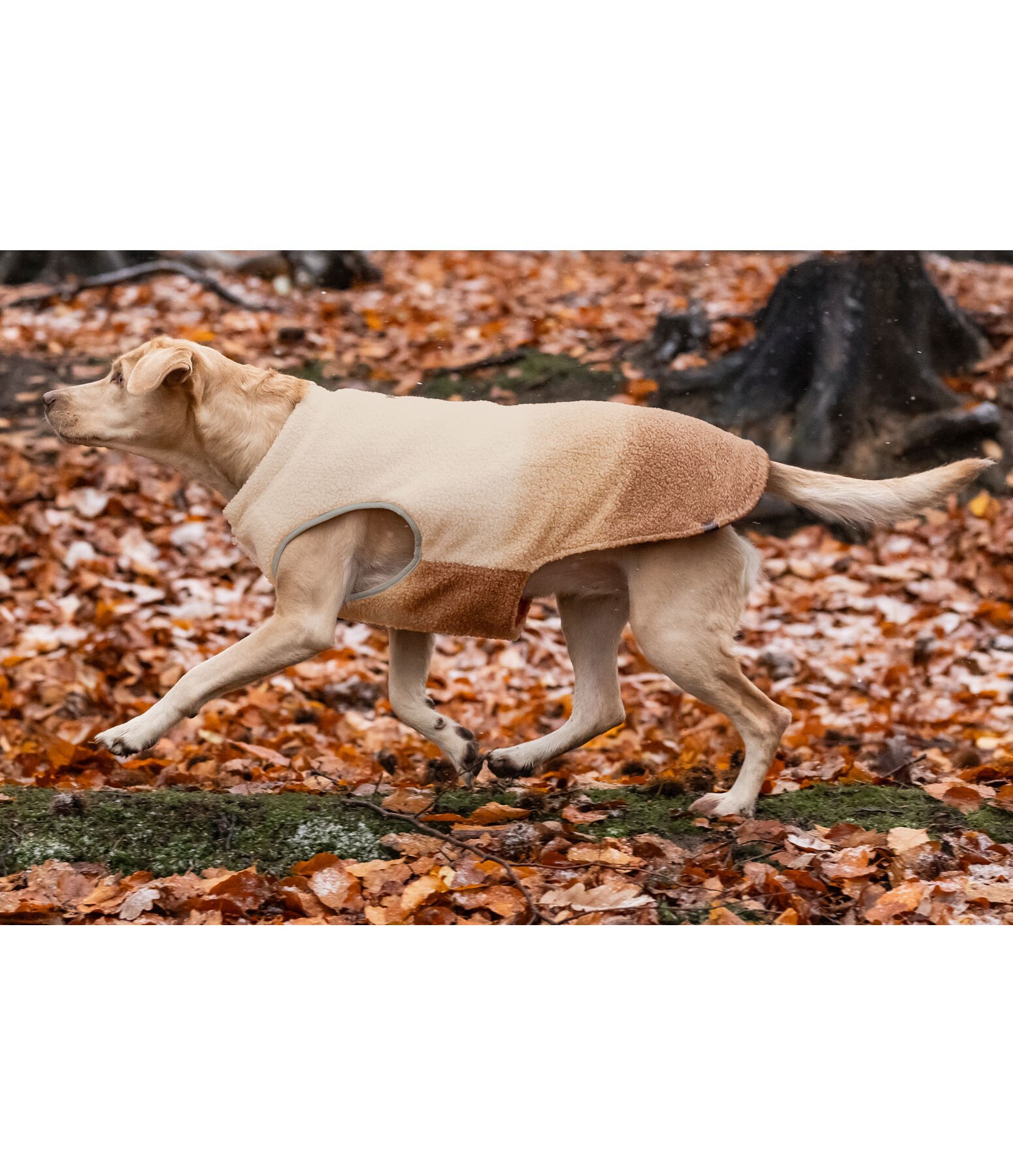 Soft Shell Reversible Dog Gilet Willa, 80g