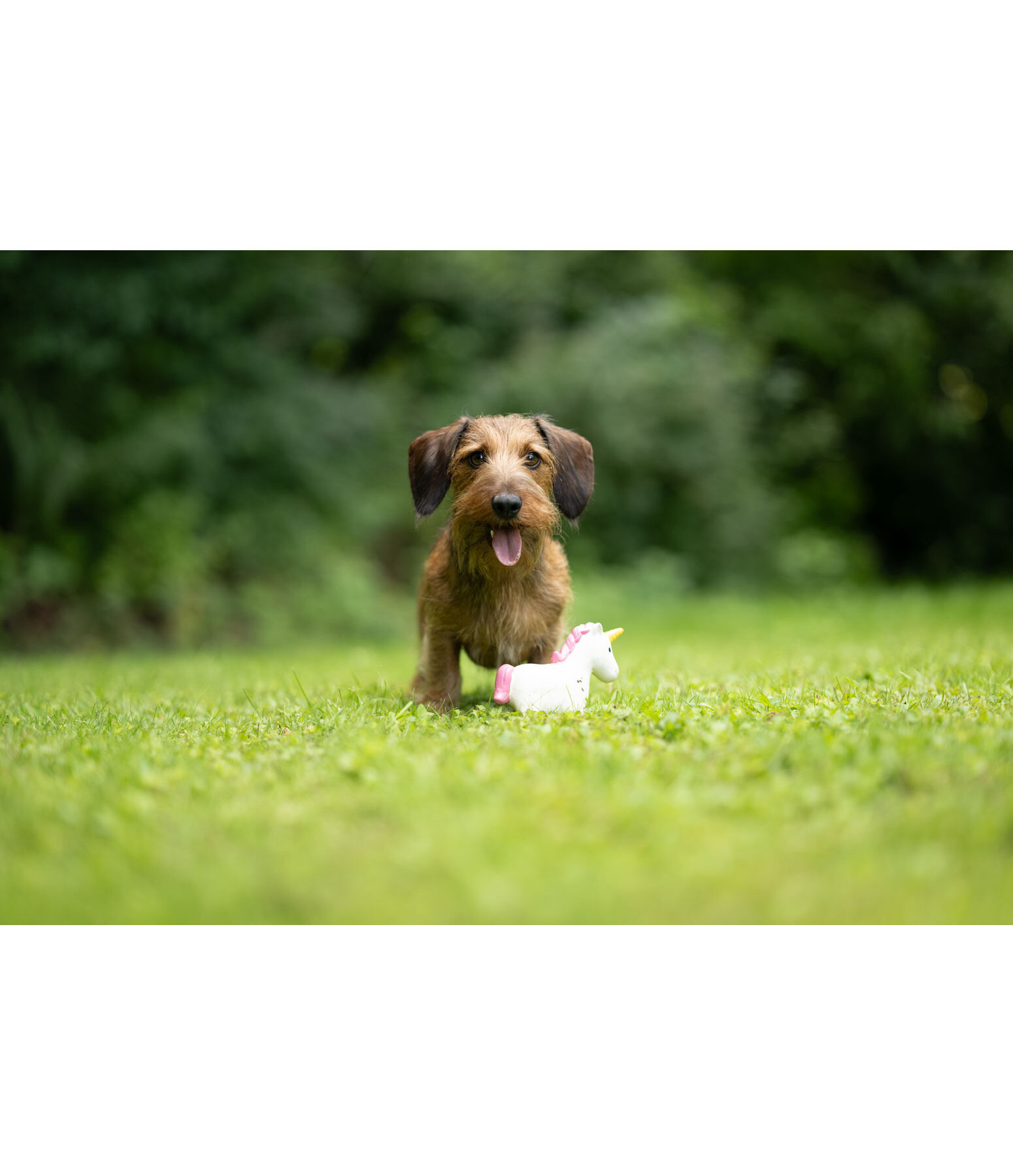 Squeaky Dog Toy Unicorn