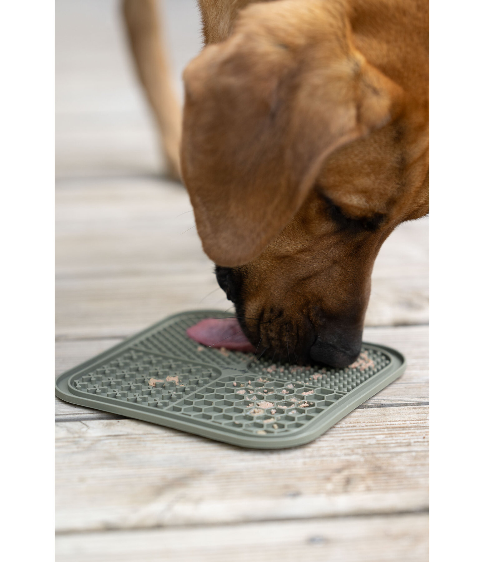 Dog Lick Mat Classic Line