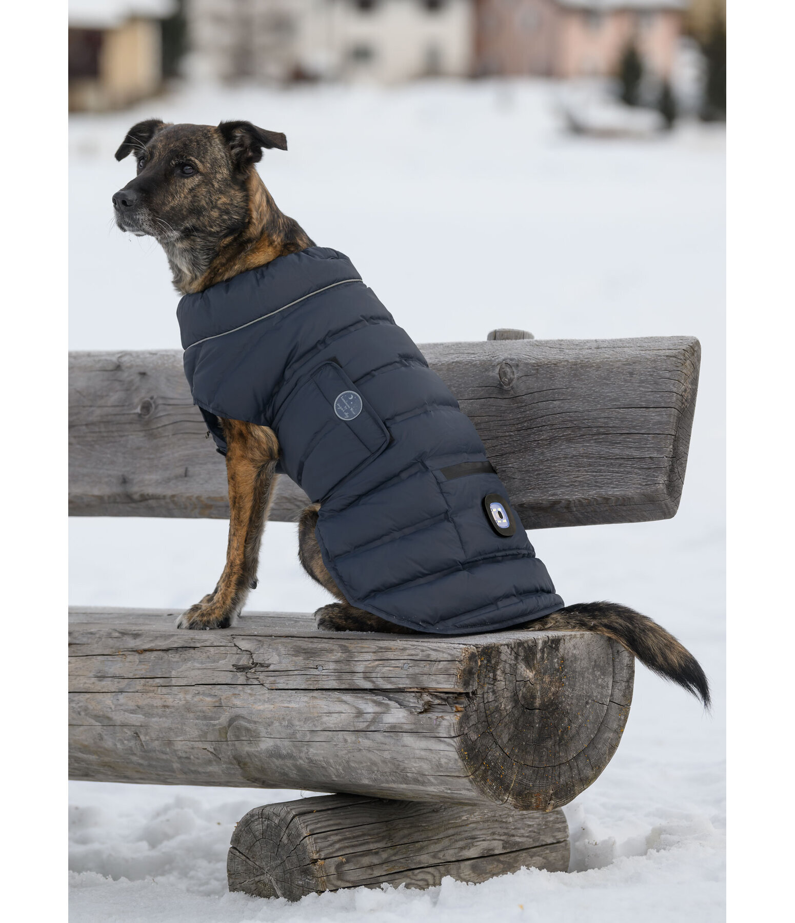 LED Quilted Dog Jacket Arlo, 300g