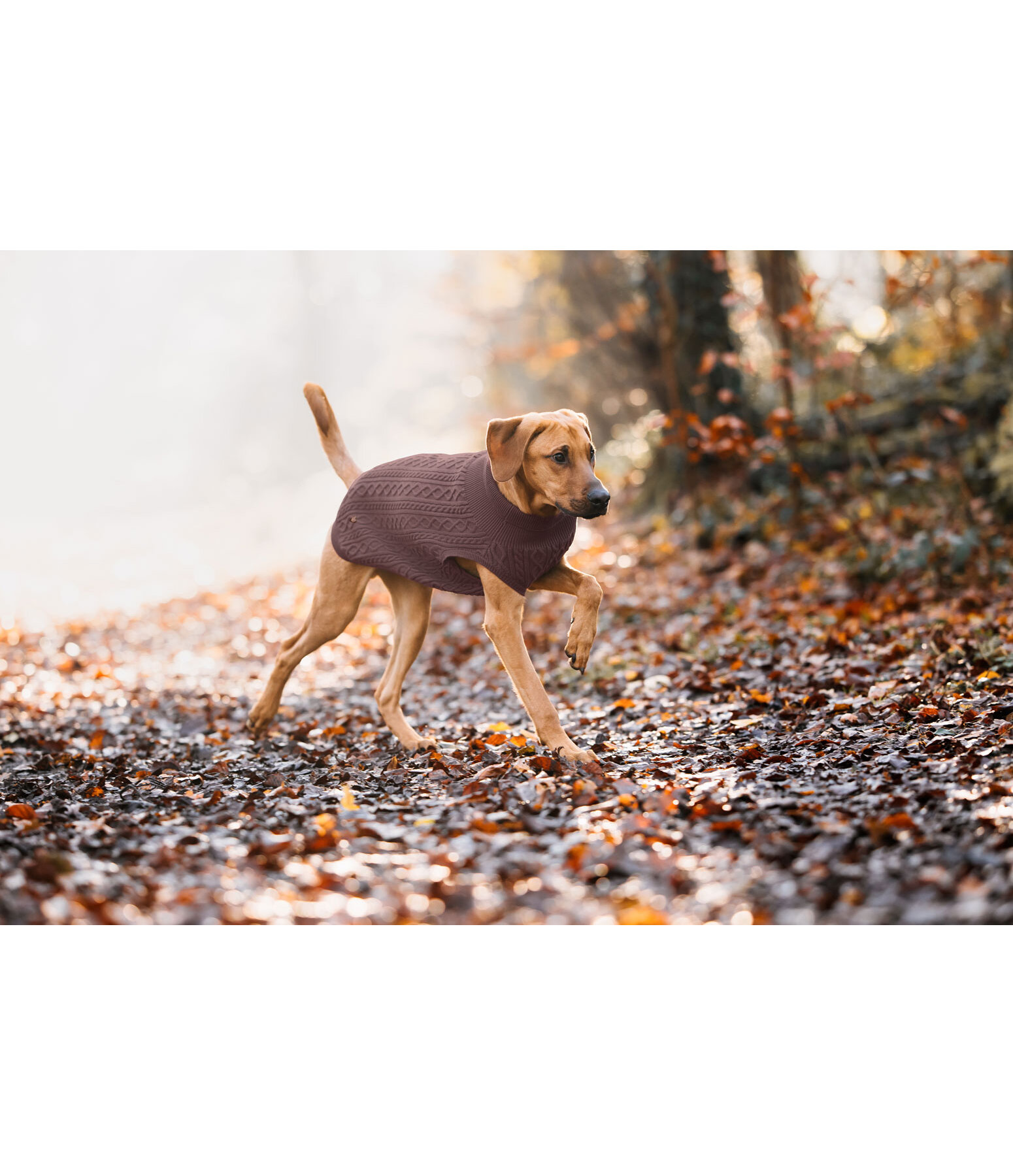 Dog Turtleneck Jumper Maisie