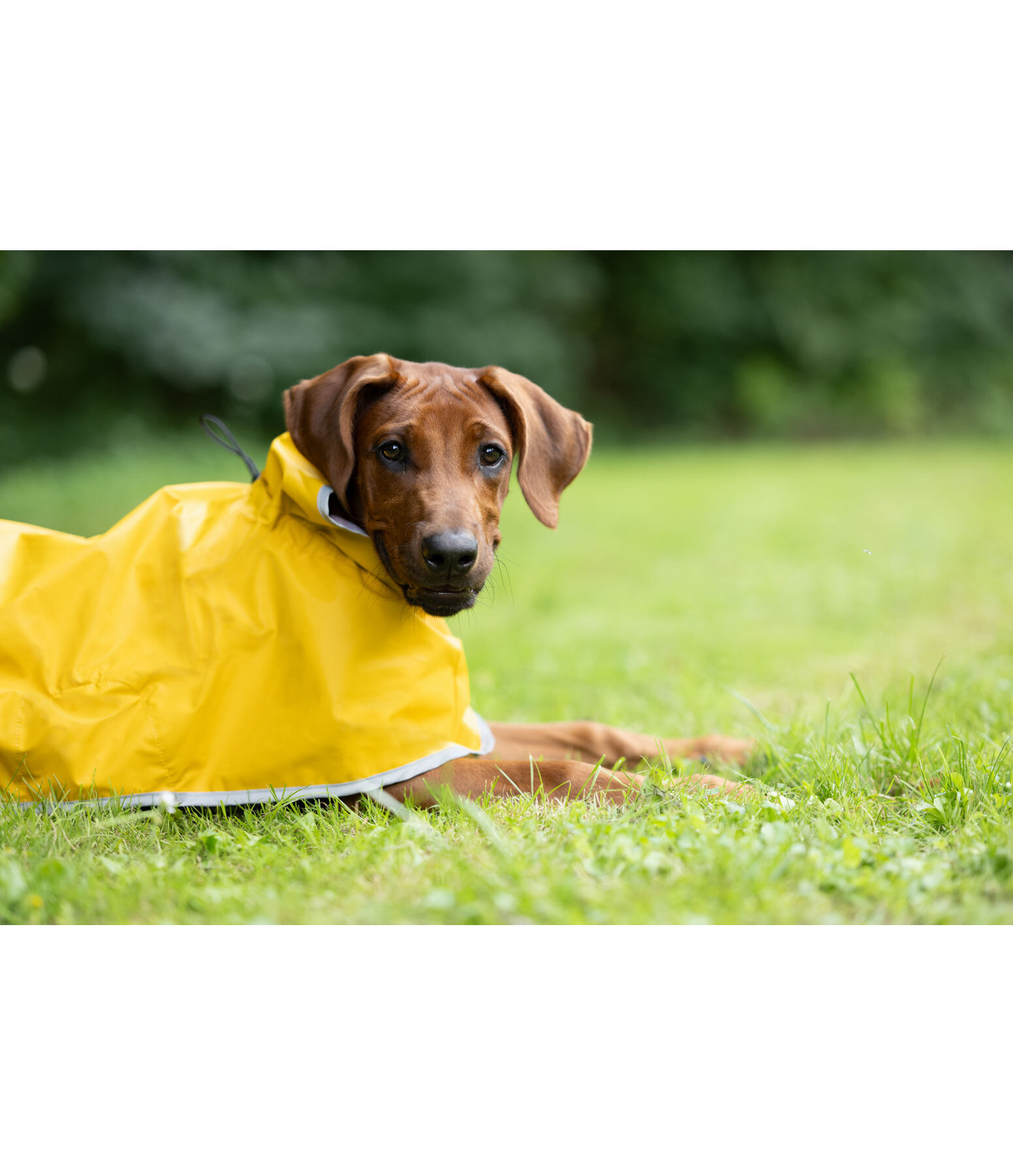 Raincoat Thousand Islands, 0g