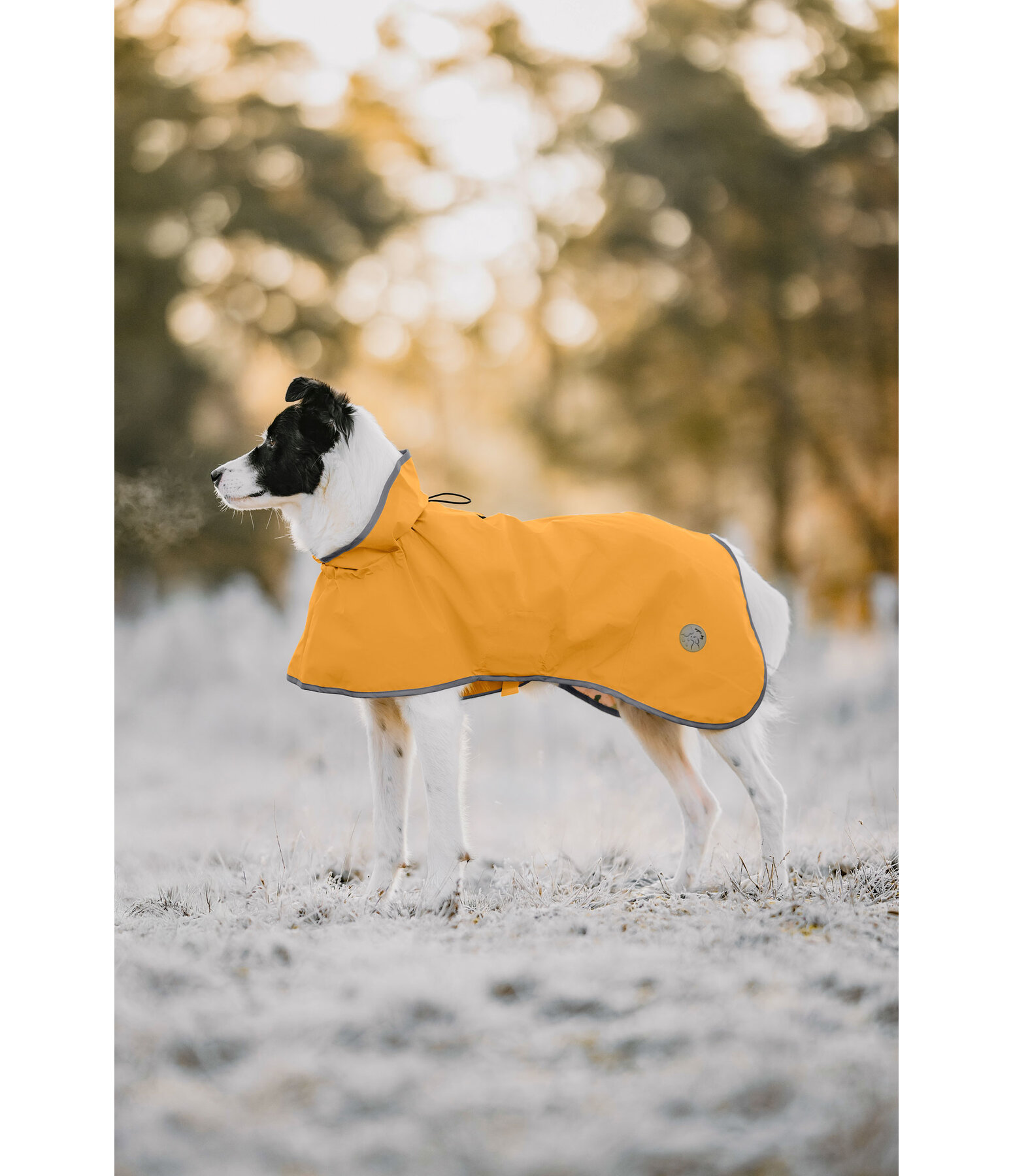 Raincoat Thousand Islands, 0g