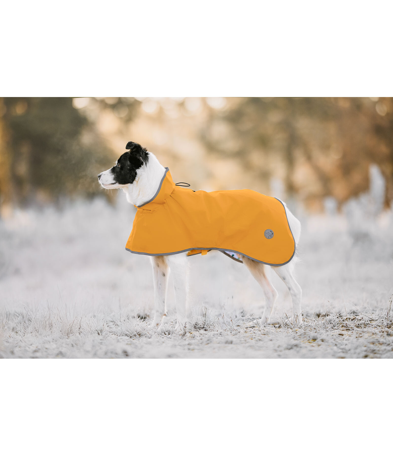 Raincoat Thousand Islands, 0g
