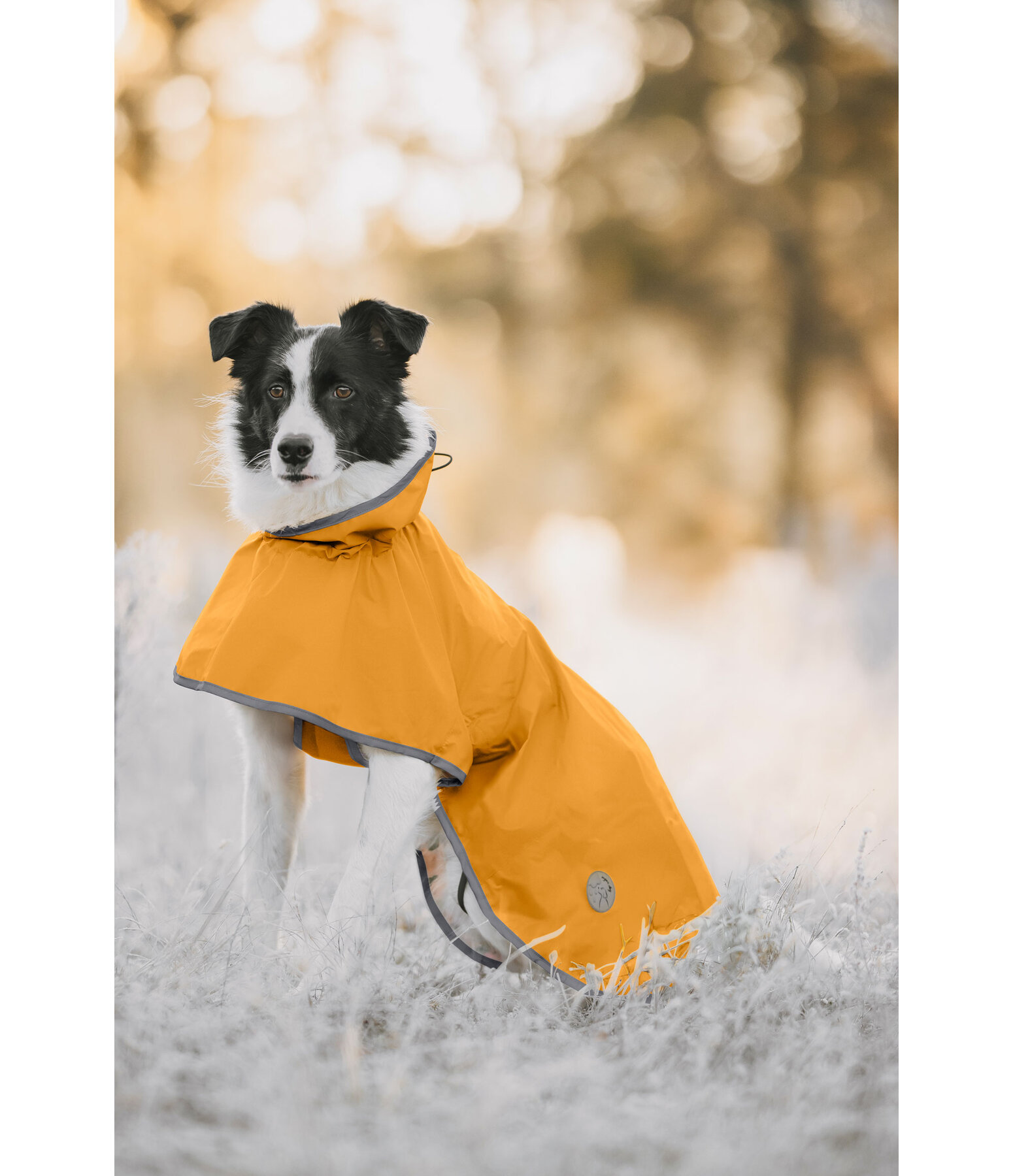 Raincoat Thousand Islands, 0g