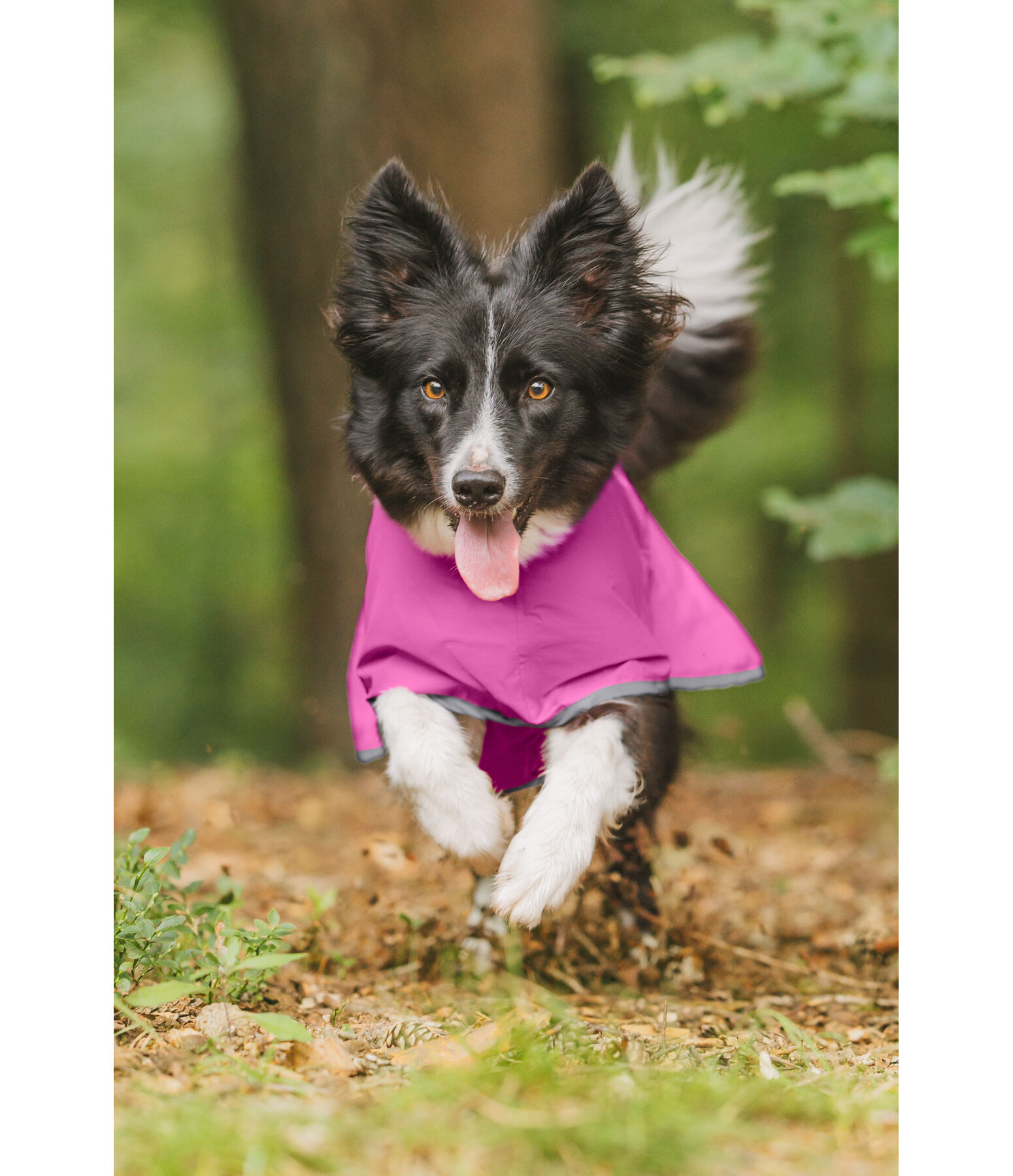 Dog Rain Coat Thousand Islands, 0g