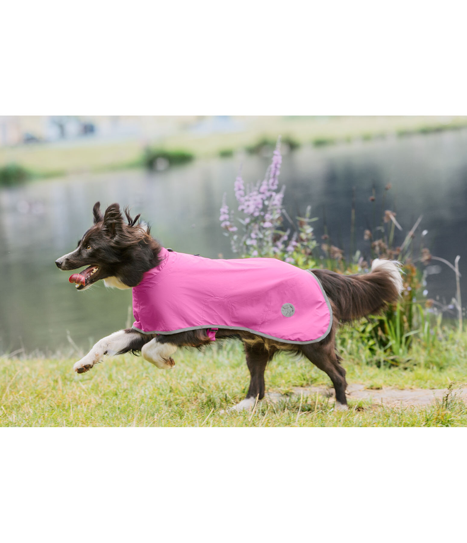 Dog Rain Coat Thousand Islands, 0g