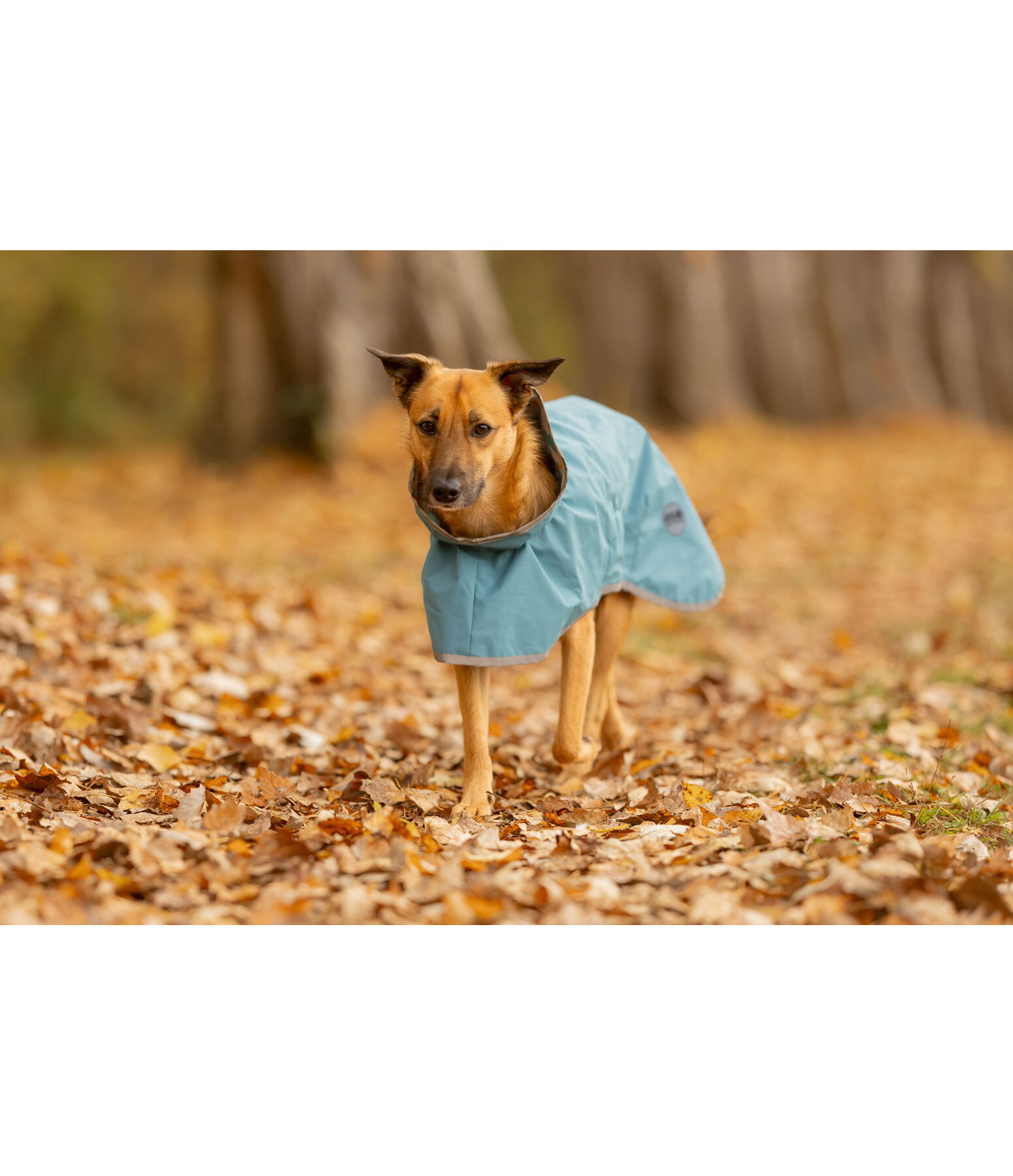 Raincoat Thousand Islands, 0g