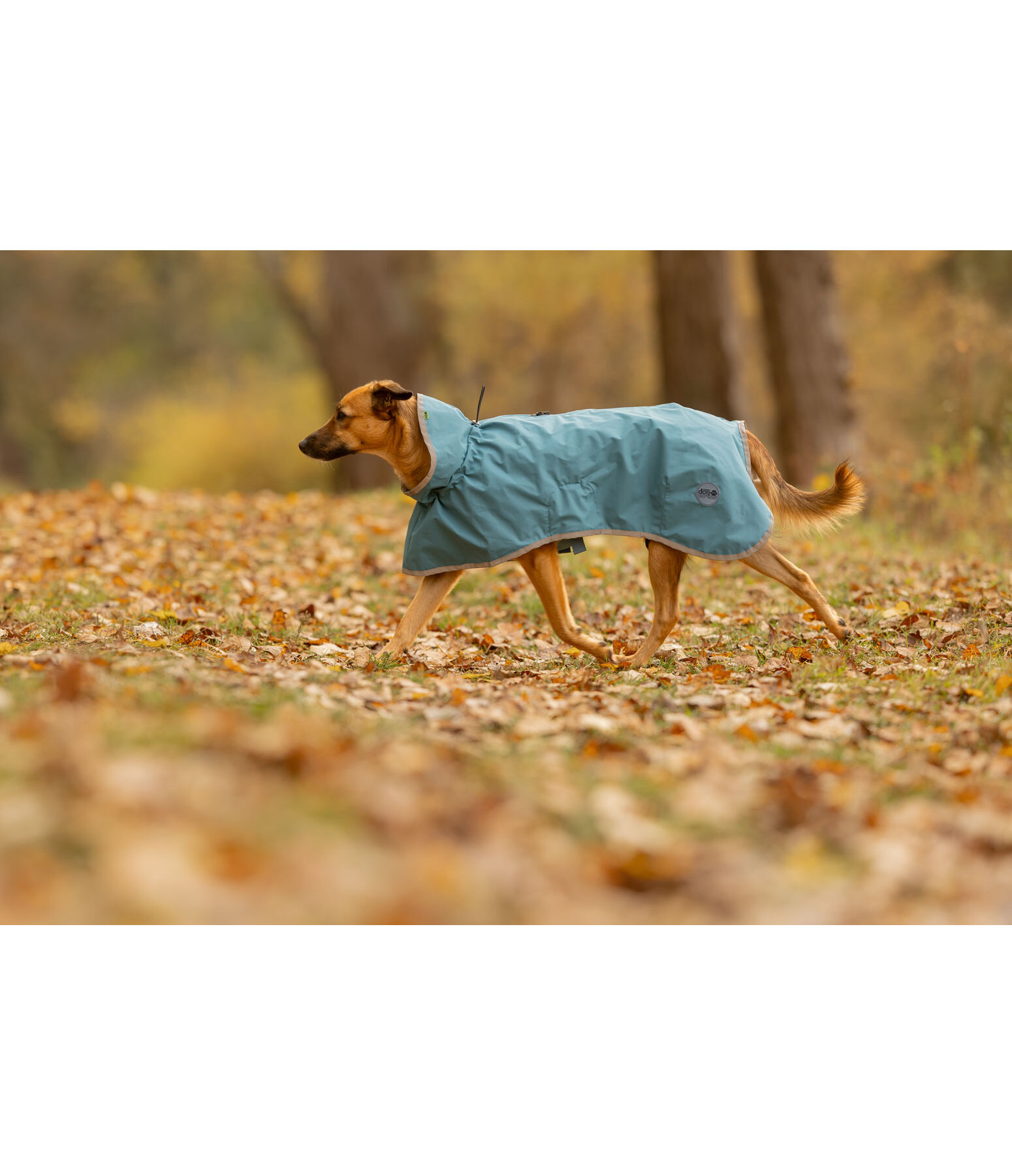 Raincoat Thousand Islands, 0g