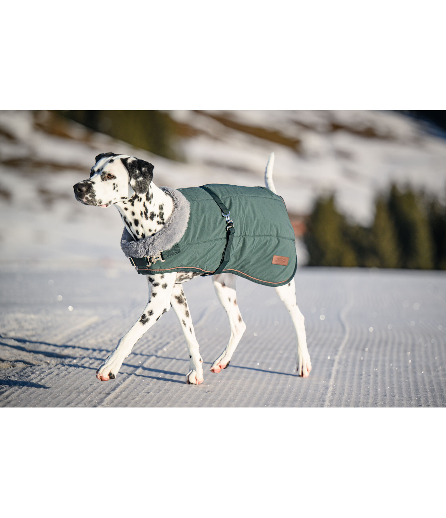 Winter Dog Coat Gizmo with Faux Fur Lining, 200g